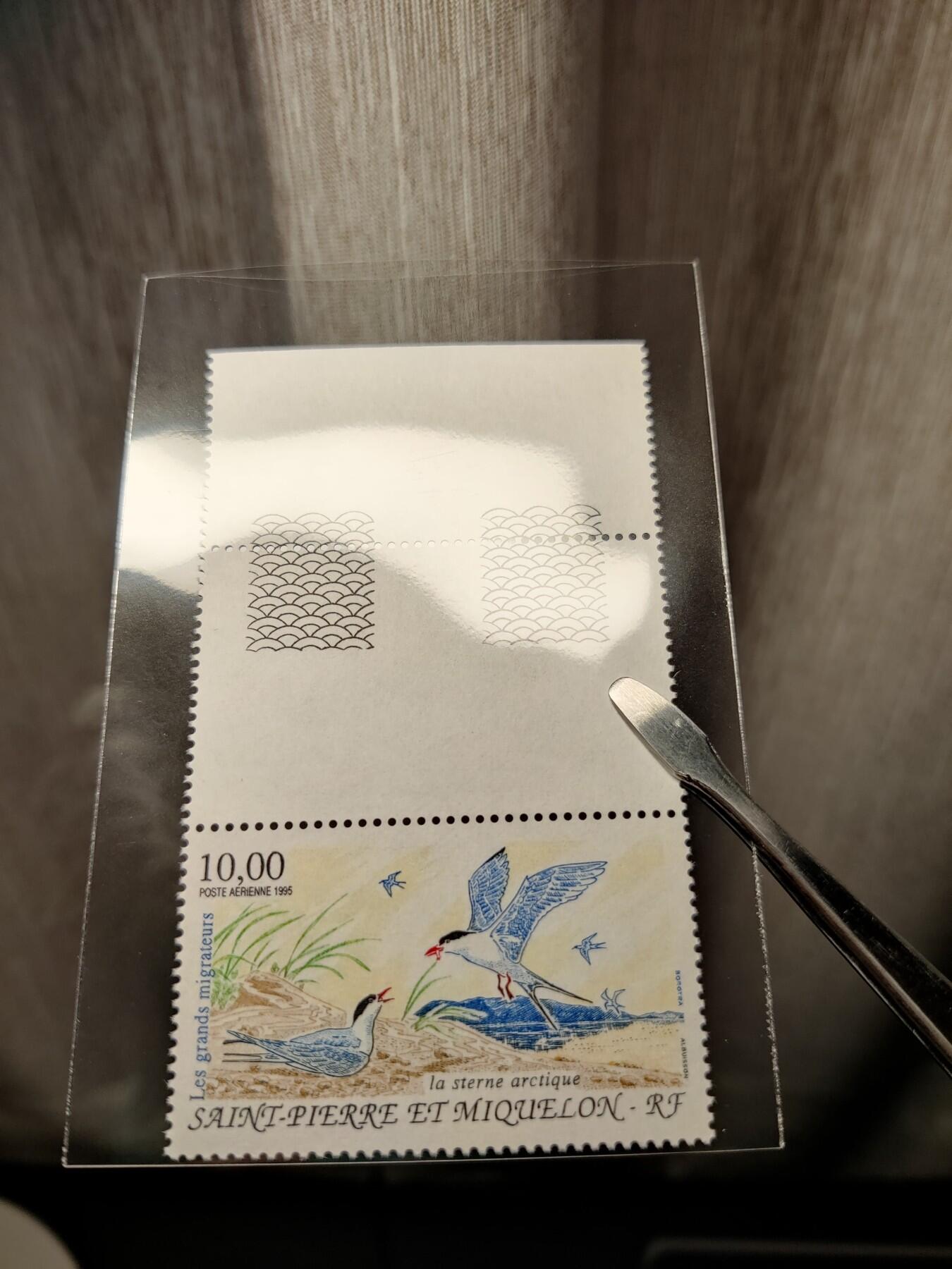 洪涛臻品批发群 精选邮票限时拍卖第1155期  法属圣皮埃尔和密克隆 北极燕鸥 原胶全品! 漂亮彩雕版! 高值10法郎(约61元人民币)