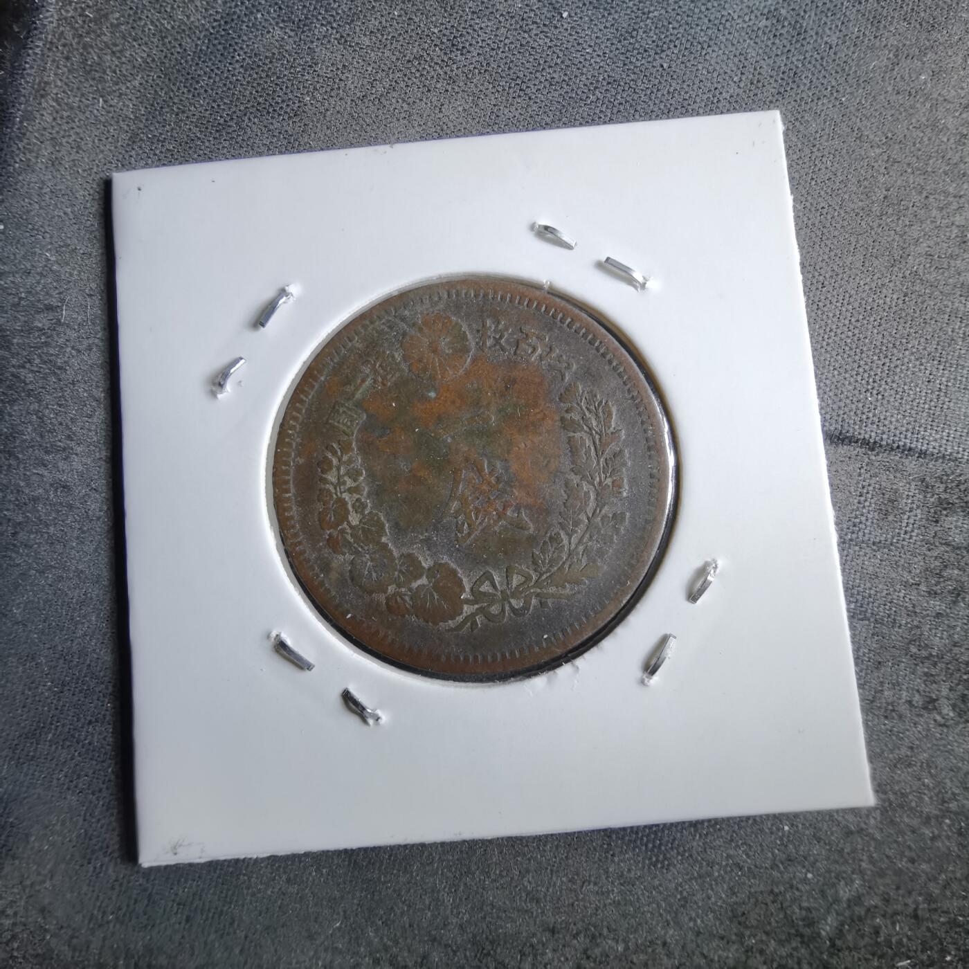 沼泽如烟--第891场