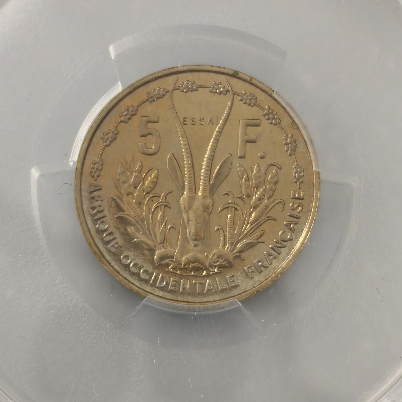 老蟹的宝藏🏴‍☠️ III