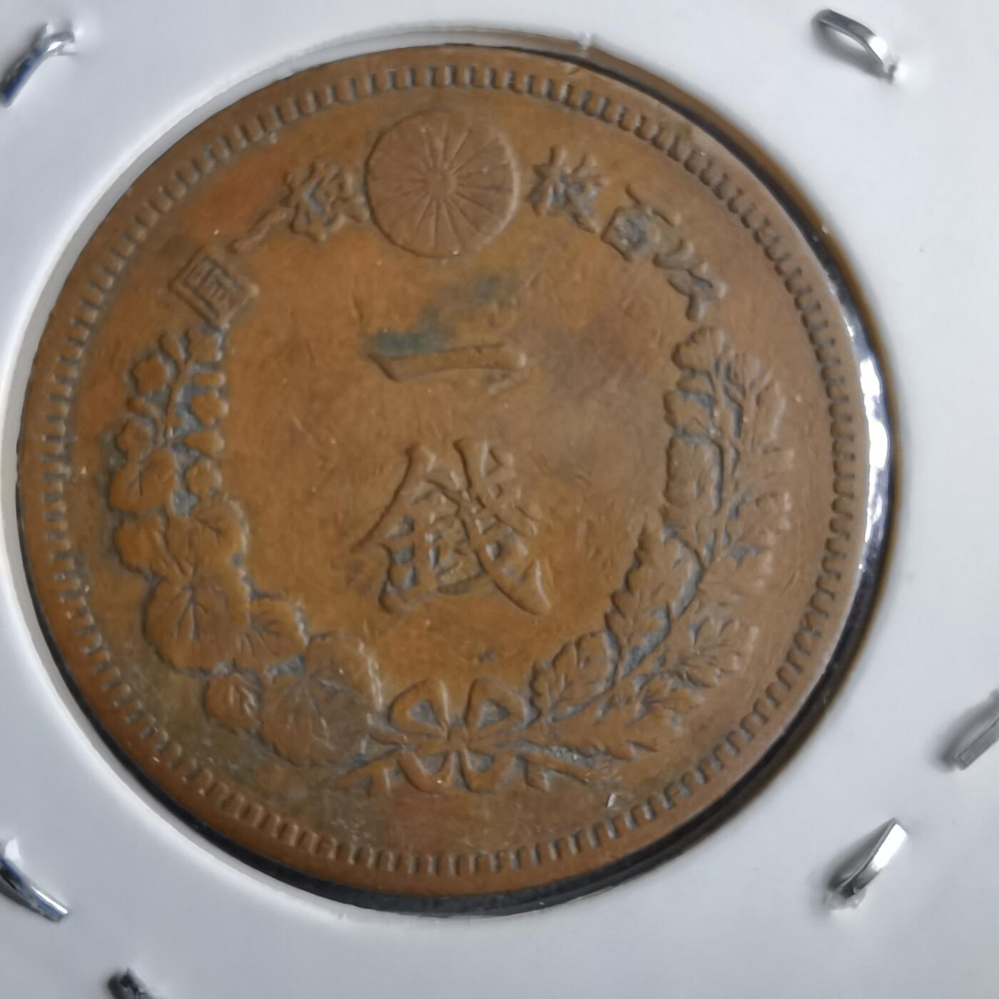 沼泽如烟--第891场