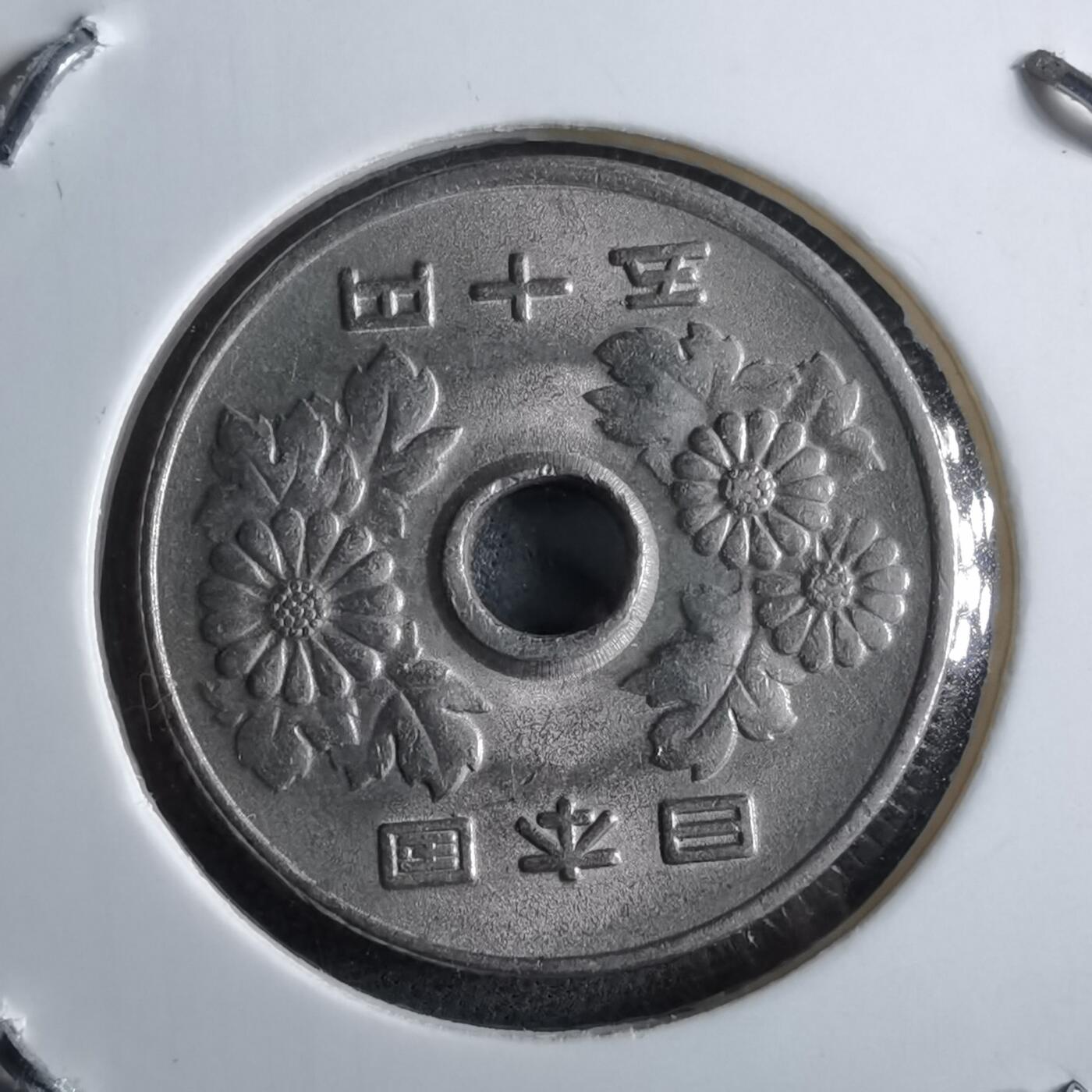 沼泽如烟--第891场