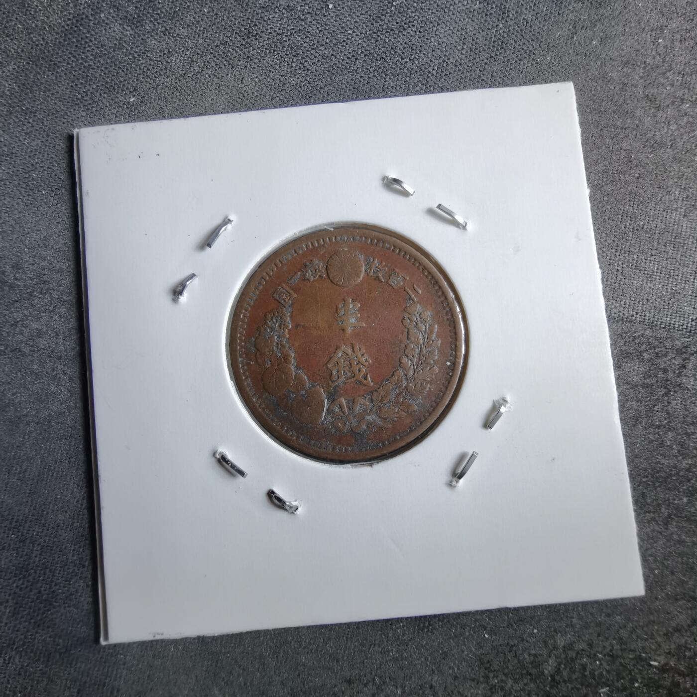 沼泽如烟--第891场