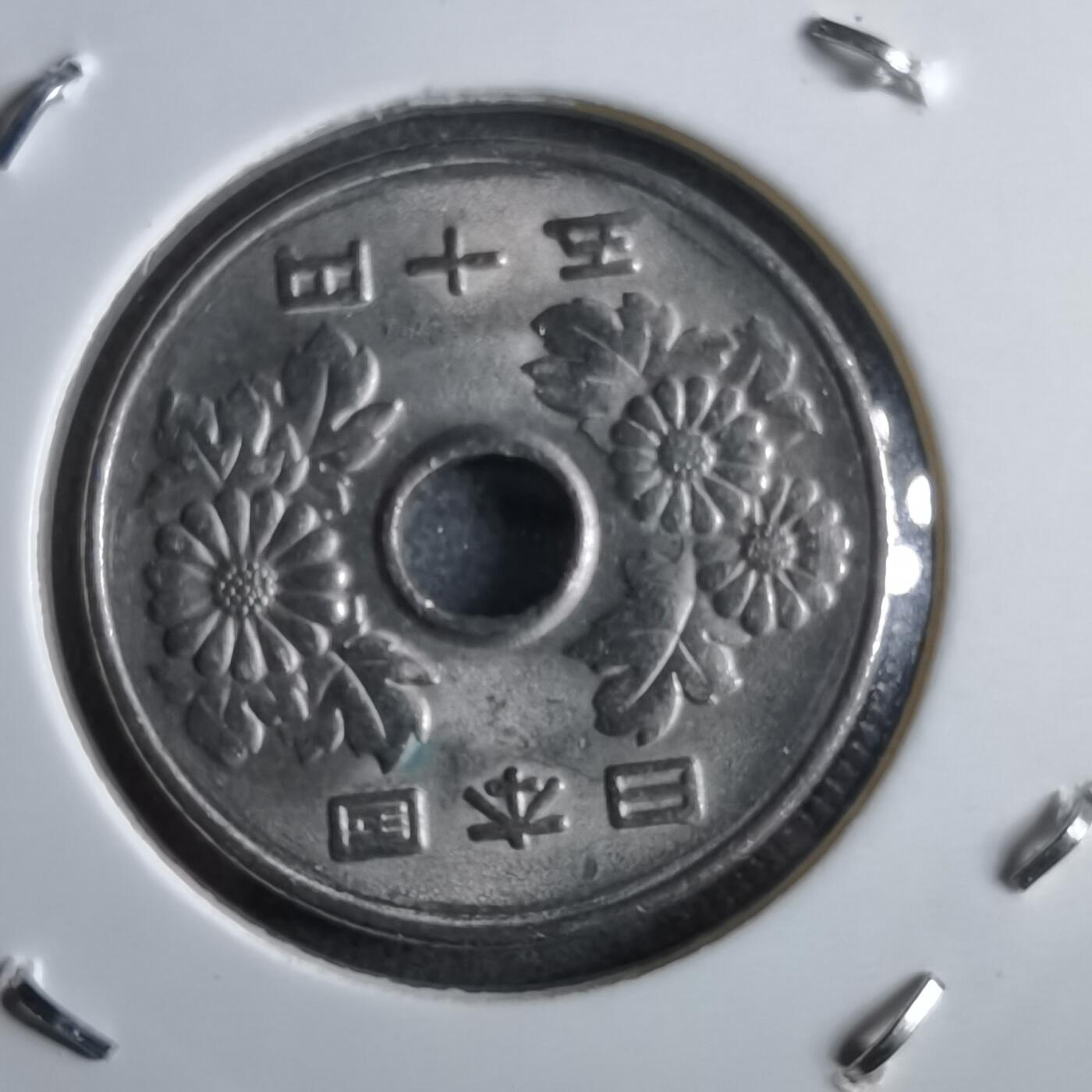 沼泽如烟--第891场