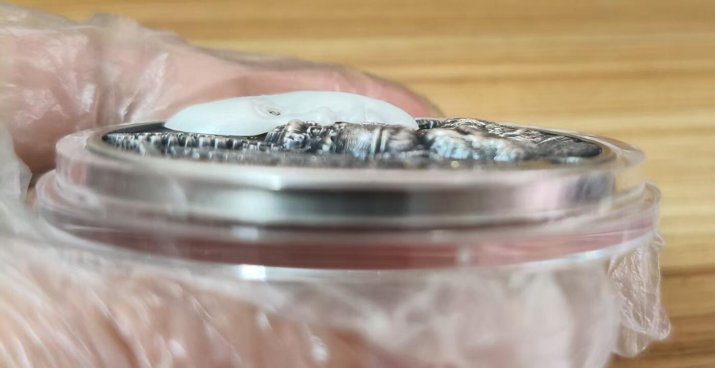 第180期拍卖【长期征集拍品】【北京币展专场】