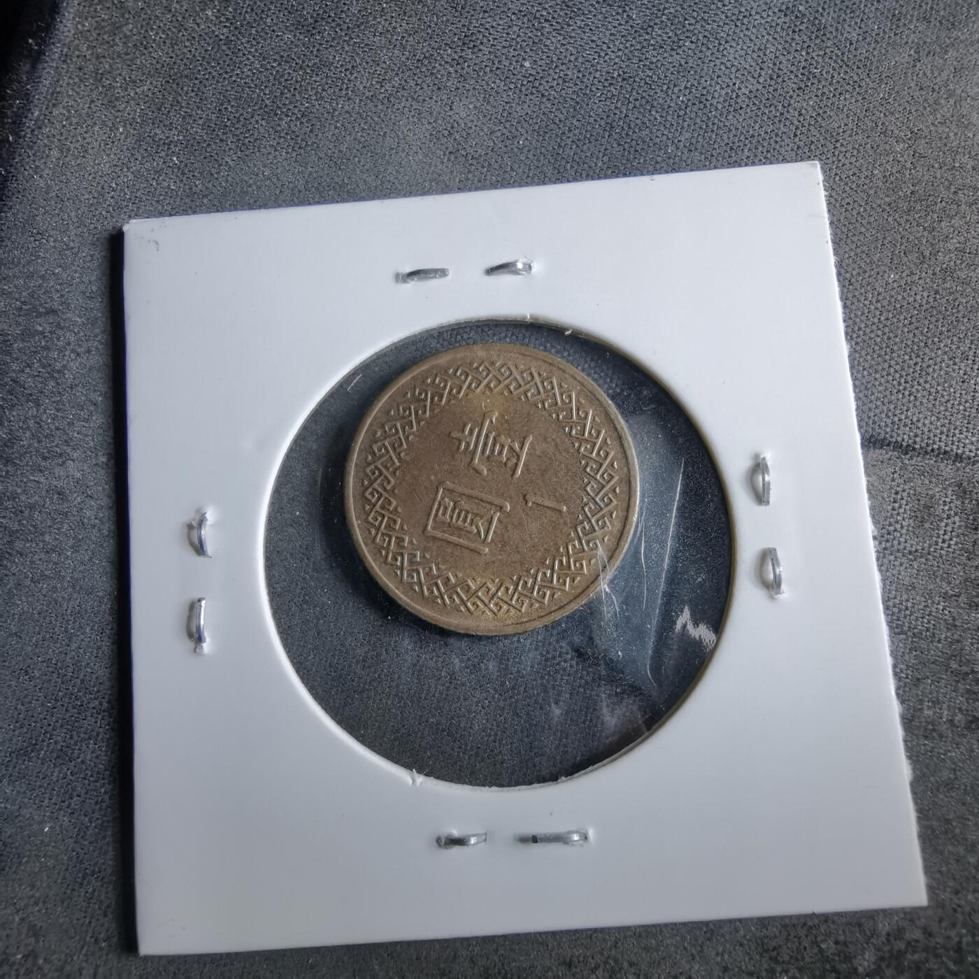 沼泽如烟--第891场