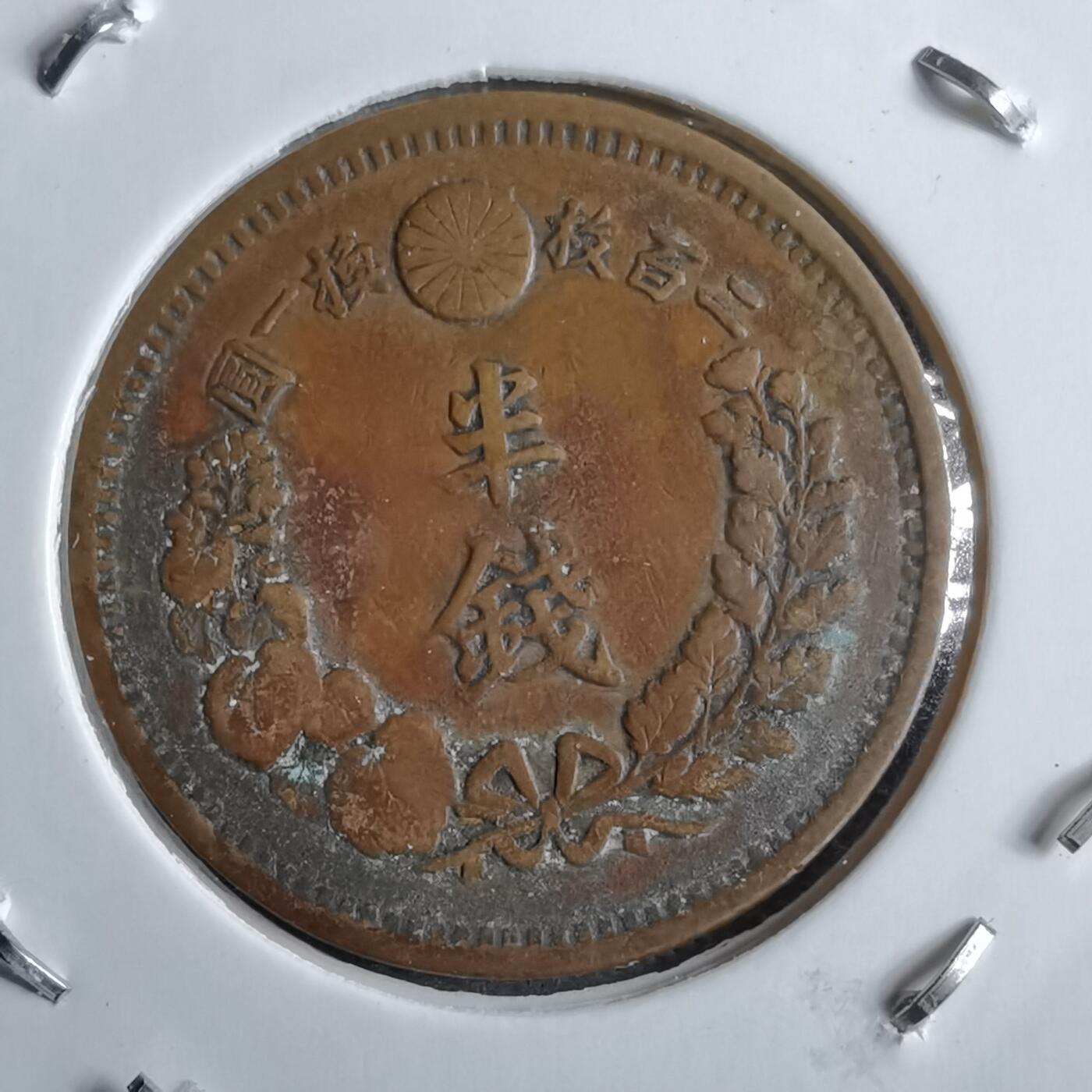 沼泽如烟--第891场