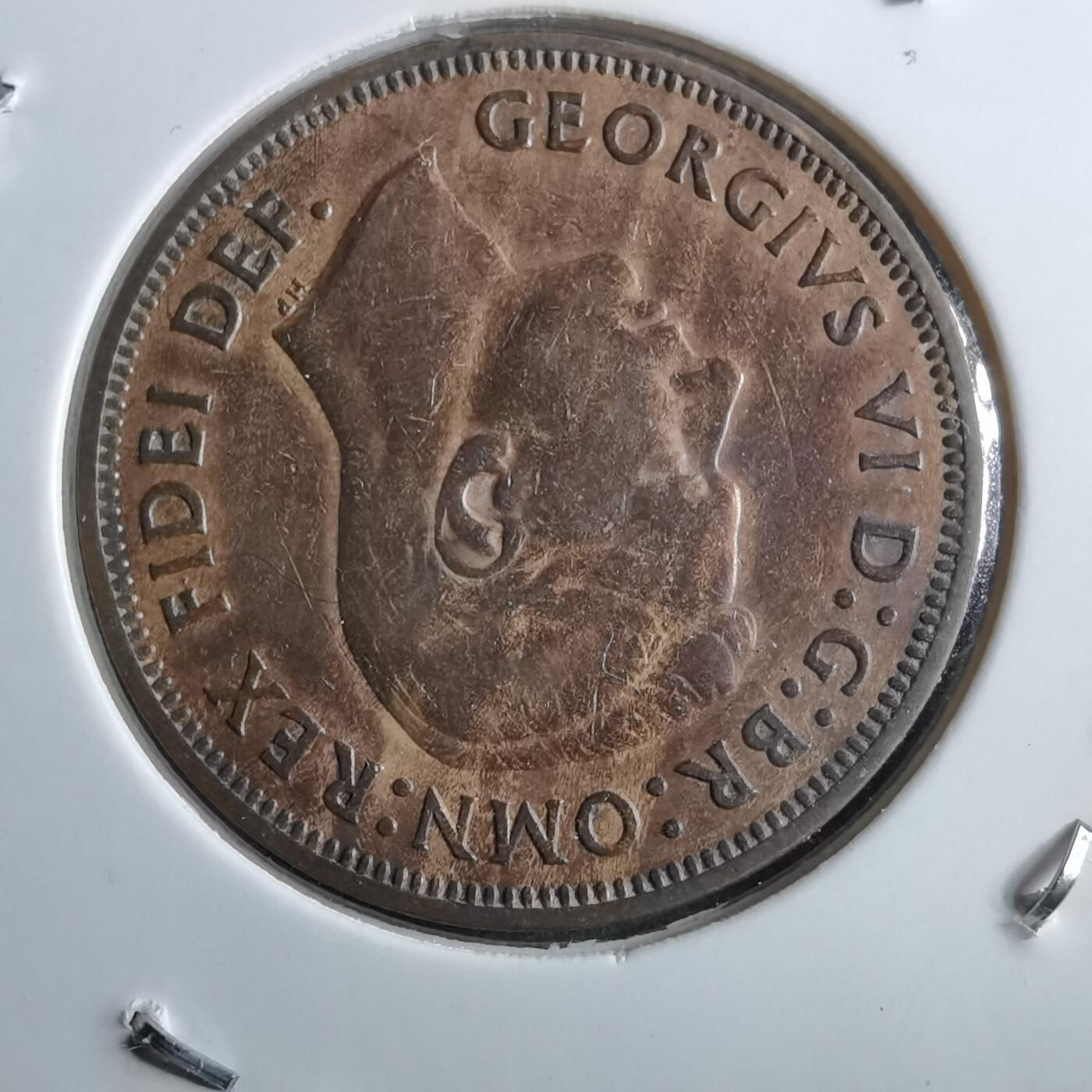 沼泽如烟--第891场