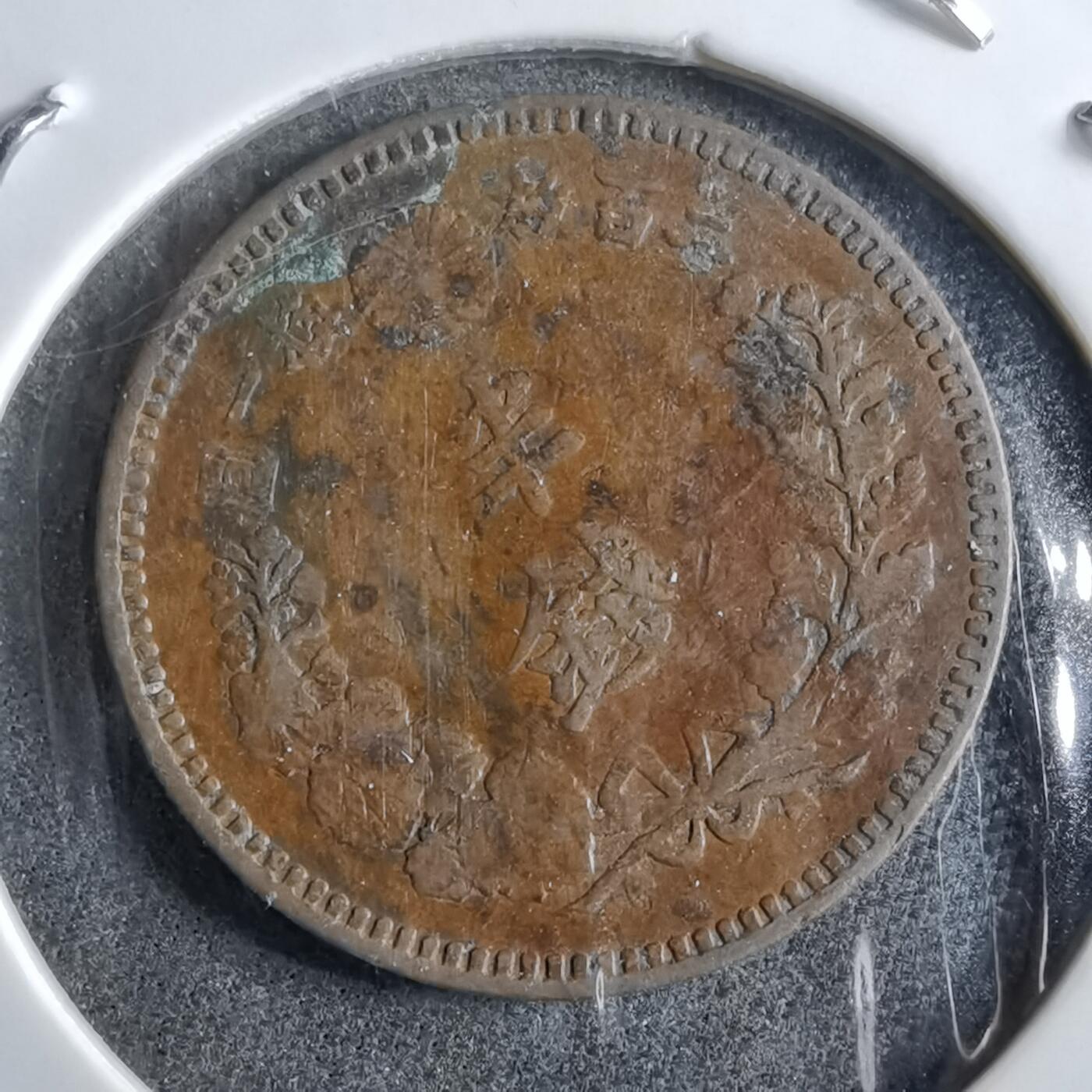 沼泽如烟--第891场