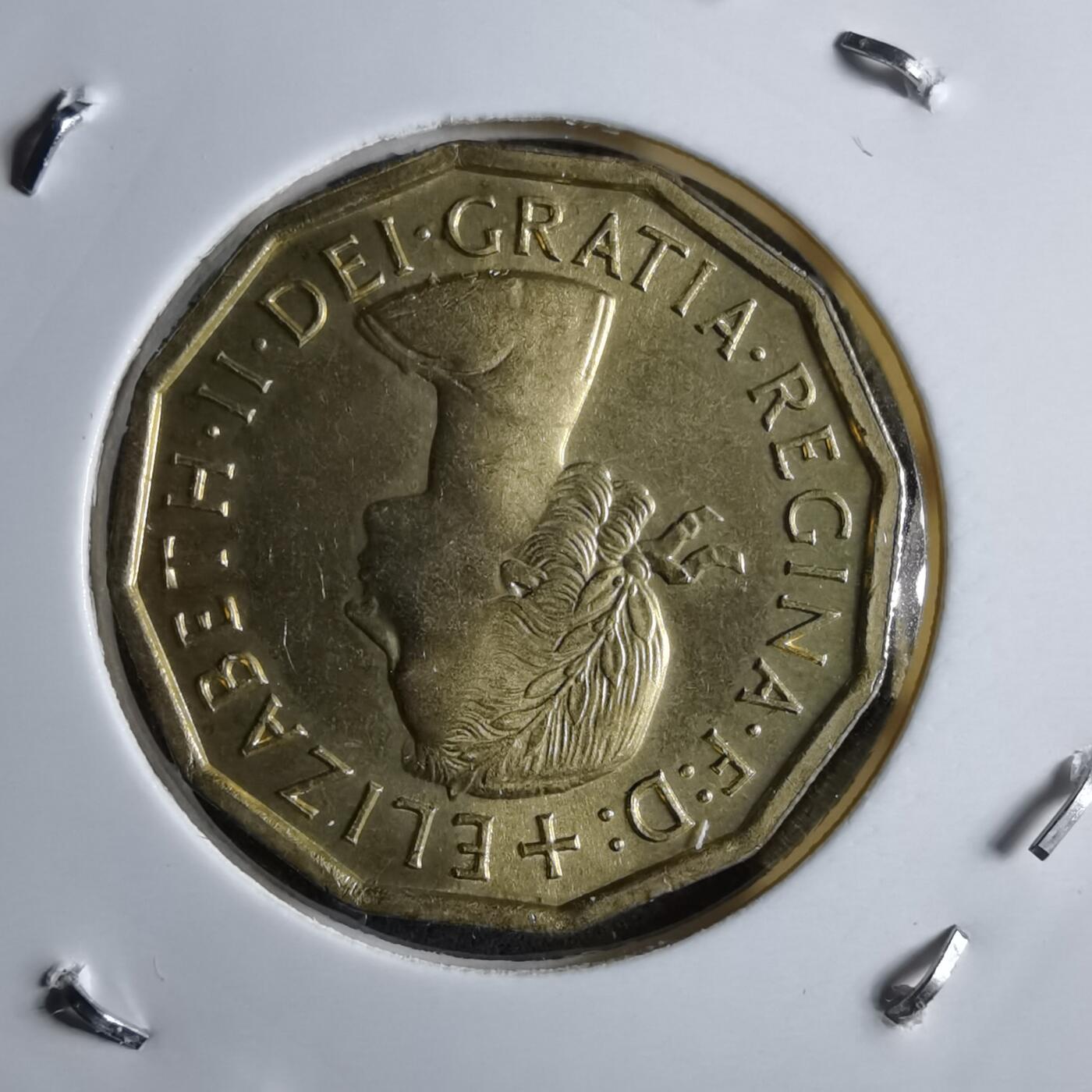 沼泽如烟--第891场