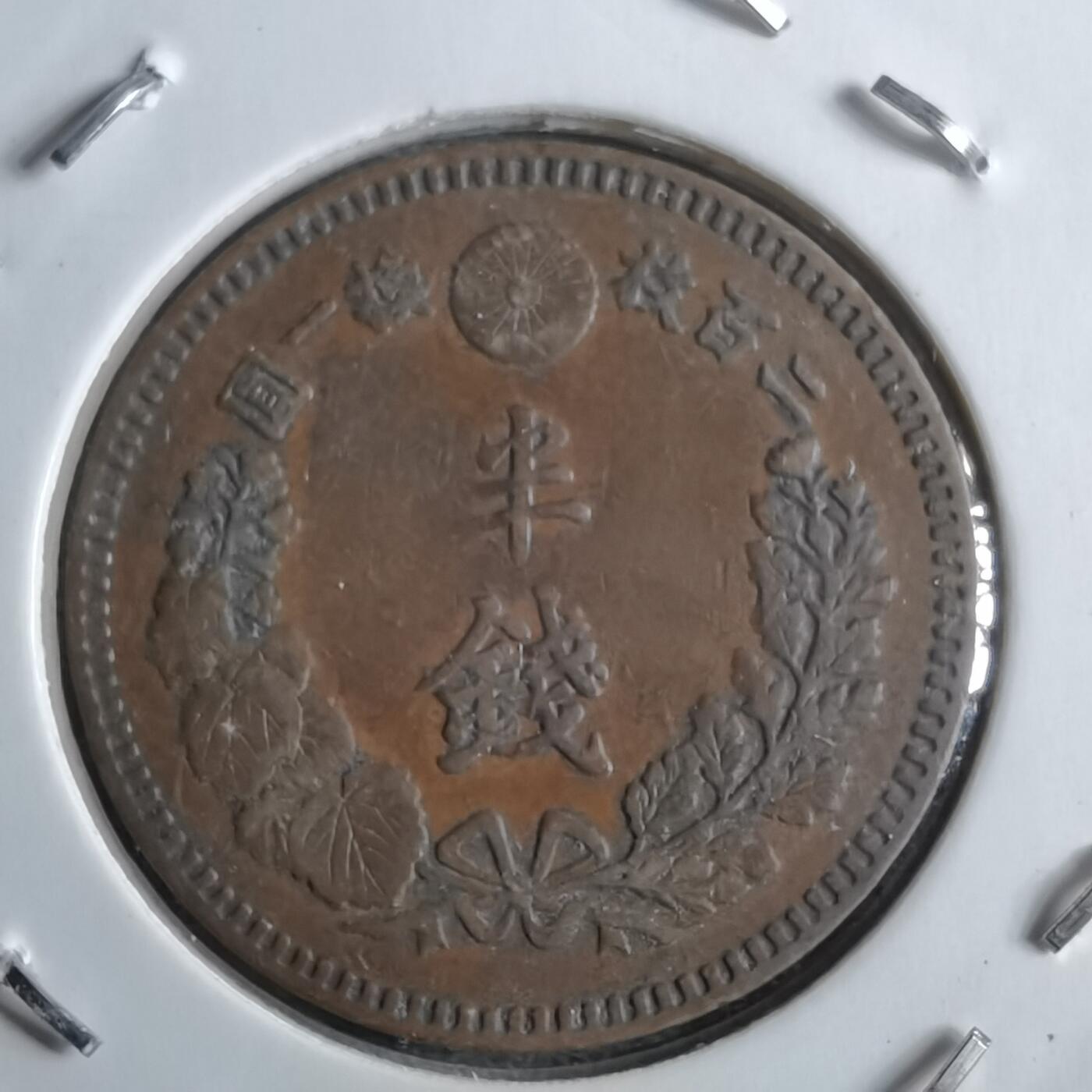 沼泽如烟--第891场