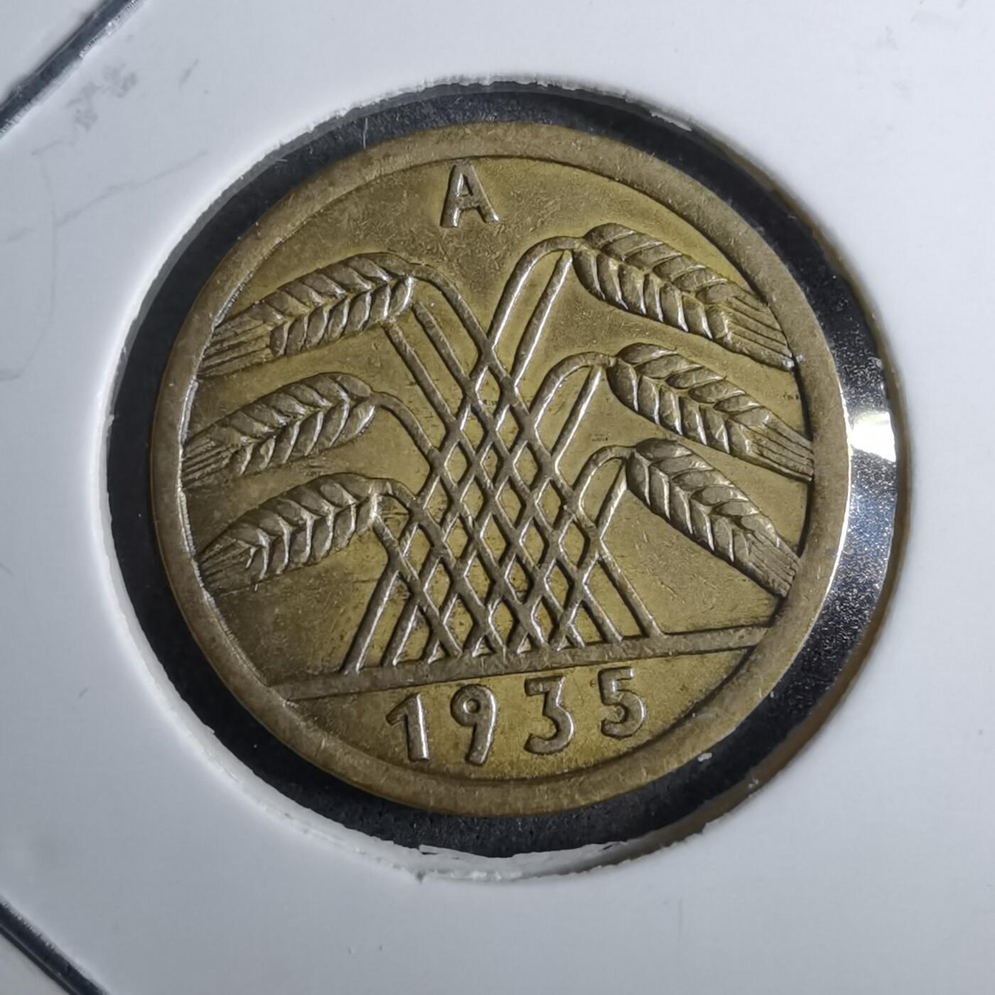 沼泽如烟--第891场