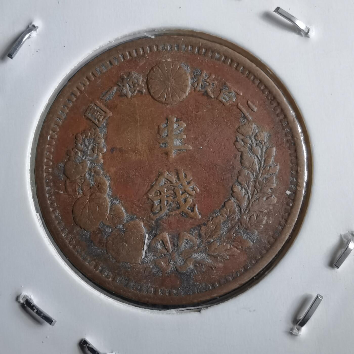 沼泽如烟--第891场