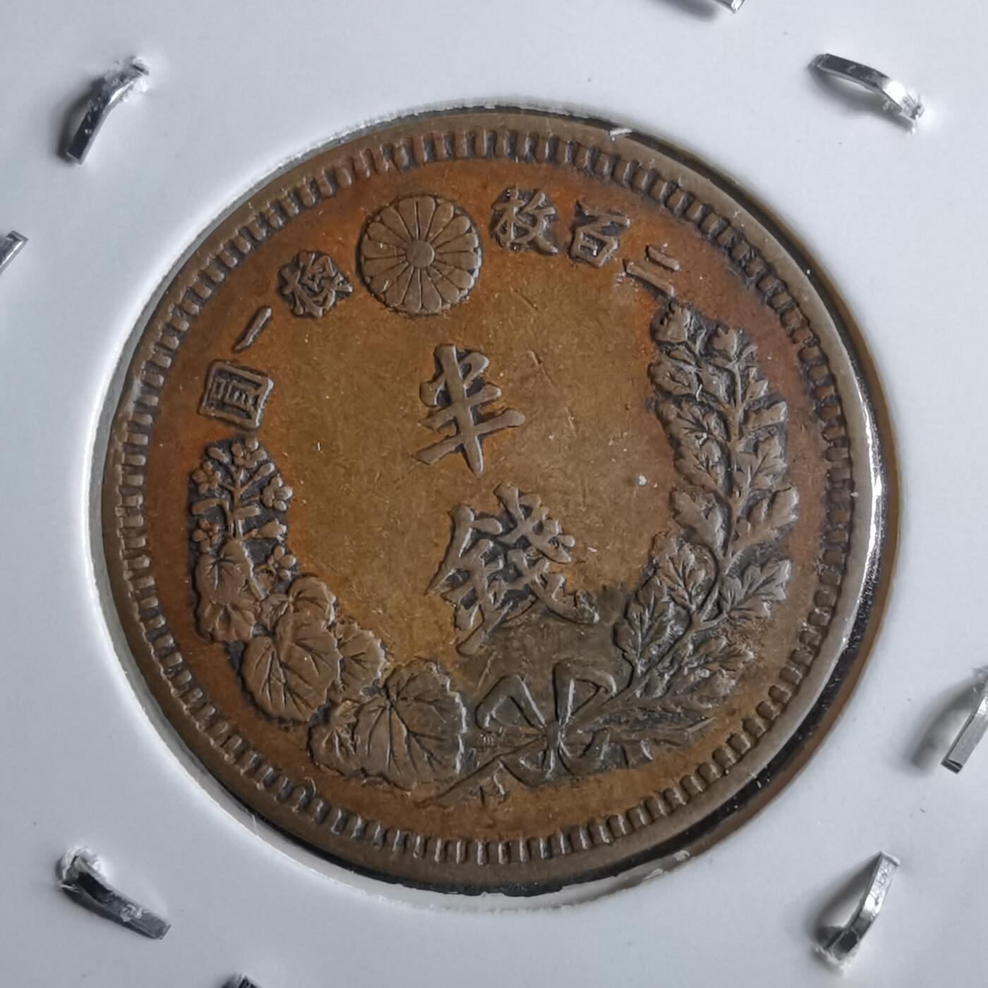 沼泽如烟--第891场