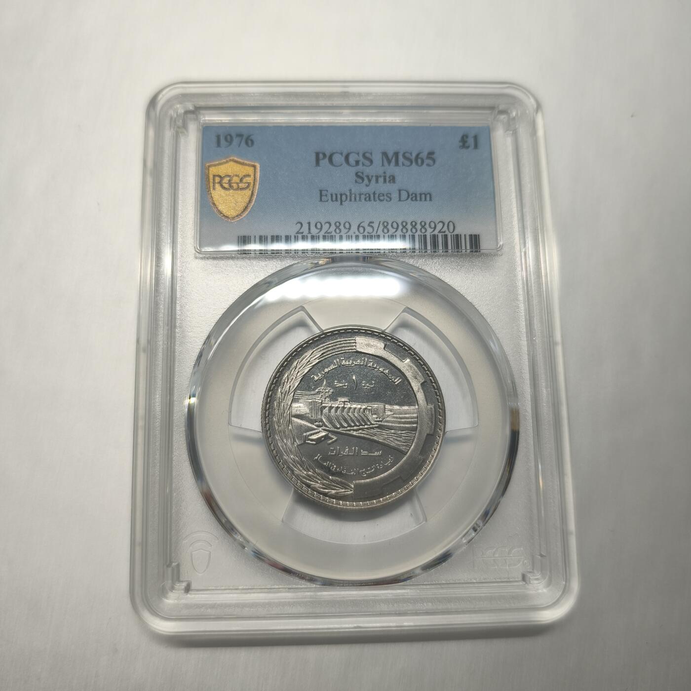 老蟹的宝藏🏴‍☠️ III