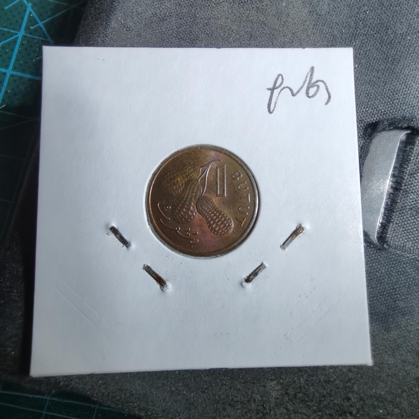 沼泽如烟--第892场