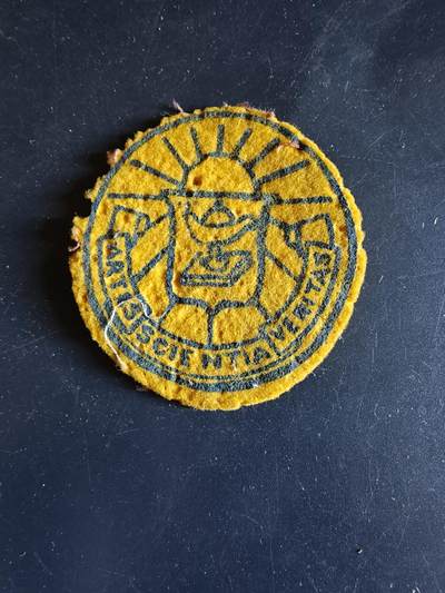 老王徽章第161期 - 美国市议会臂章