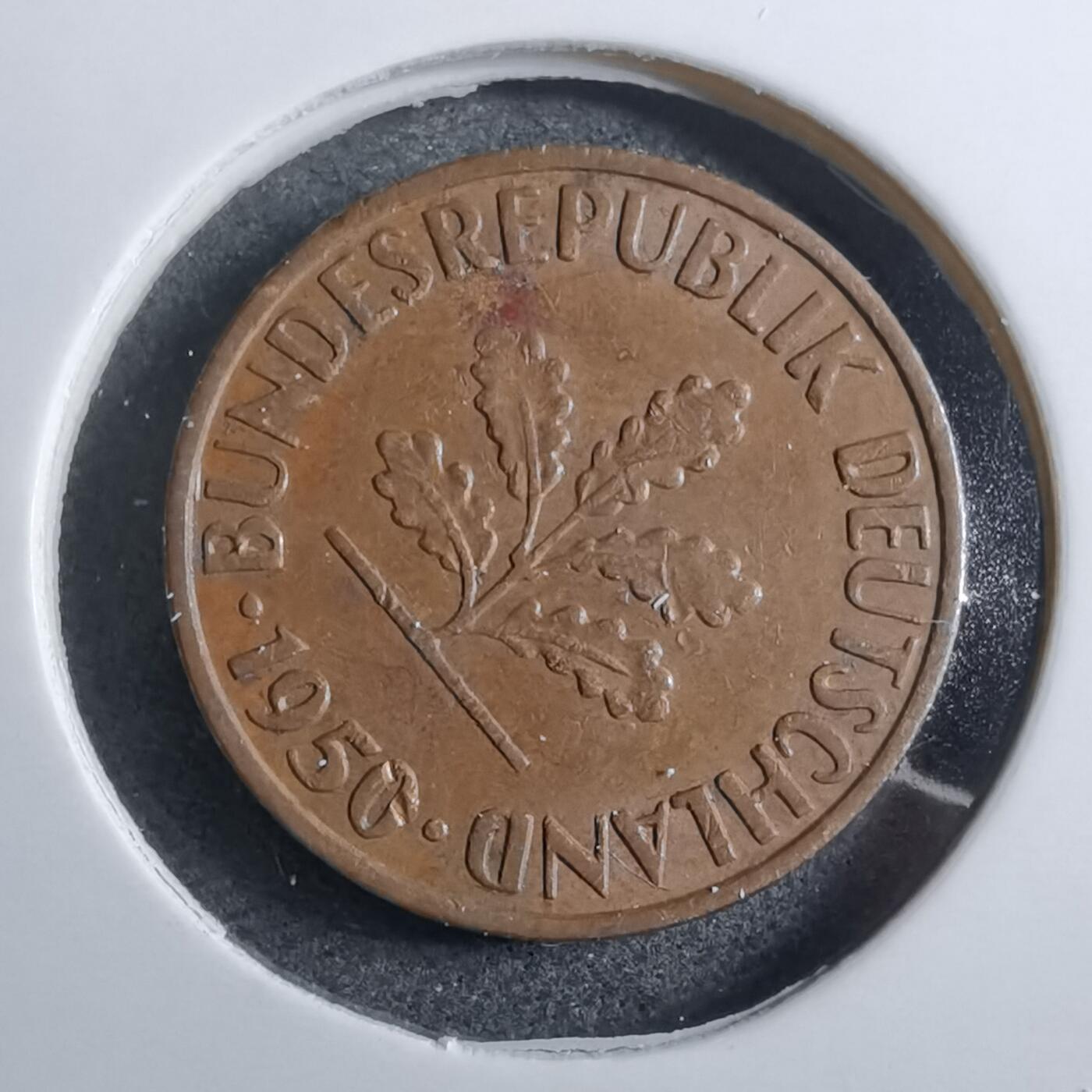 沼泽如烟--第892场