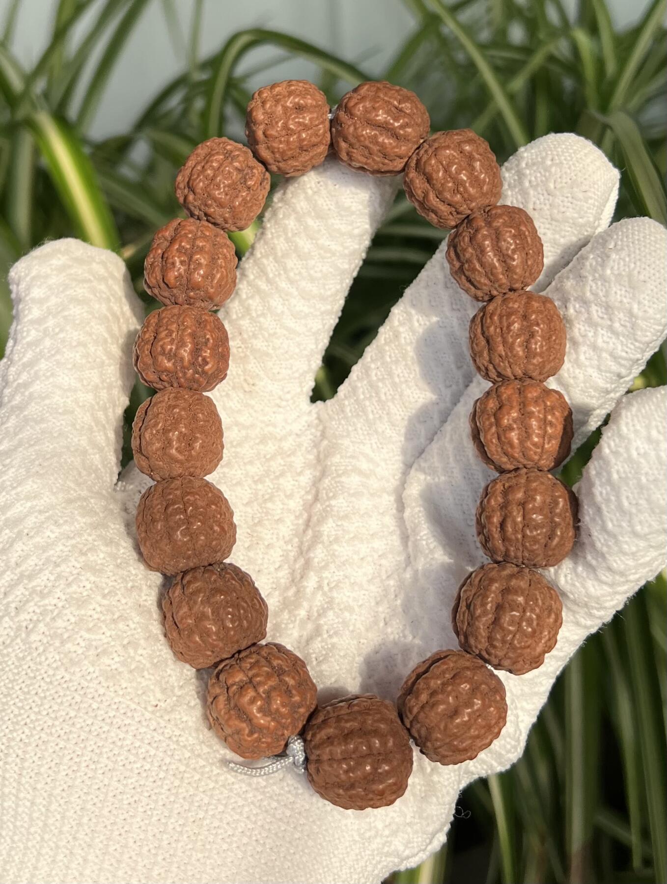 零元拍：碧根果 纯原生态金刚手持 17/18 超肉头 上手就红