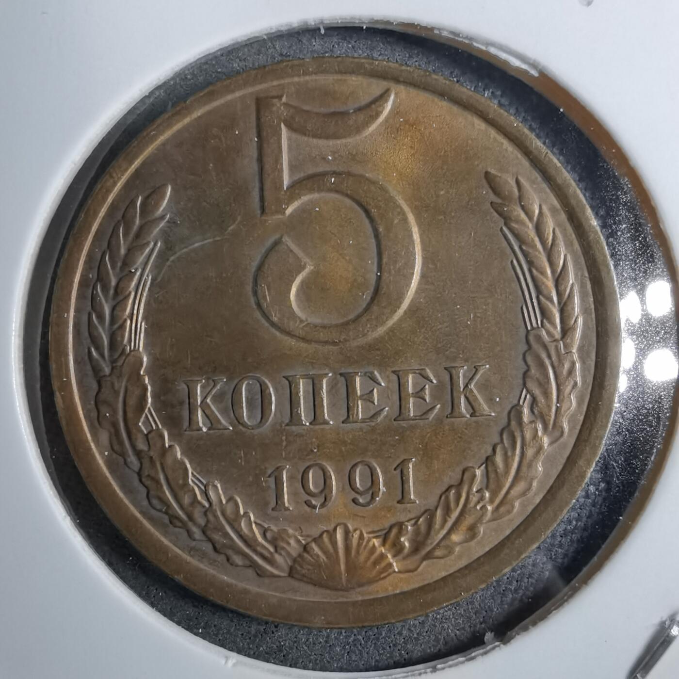 沼泽如烟--第892场