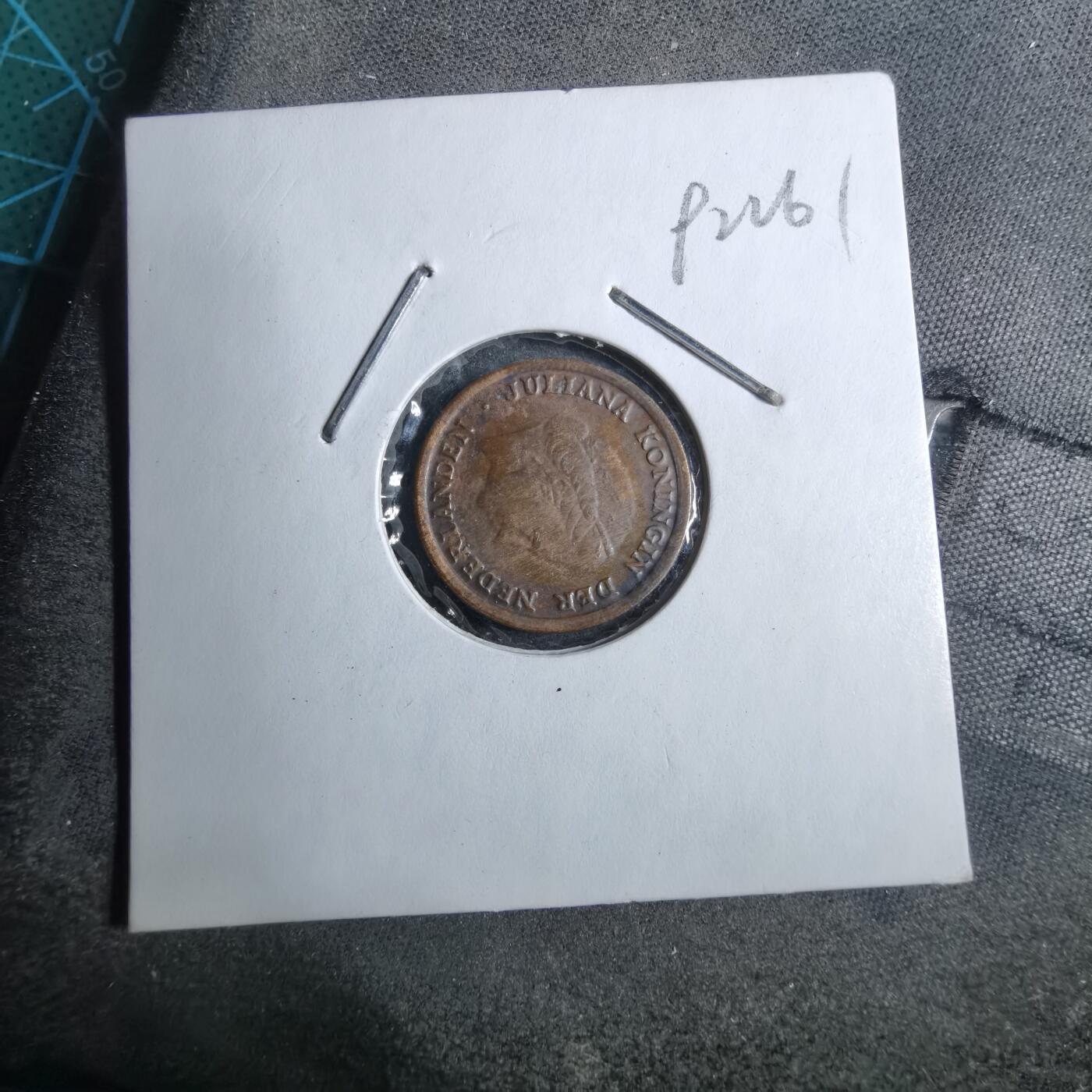 沼泽如烟--第892场