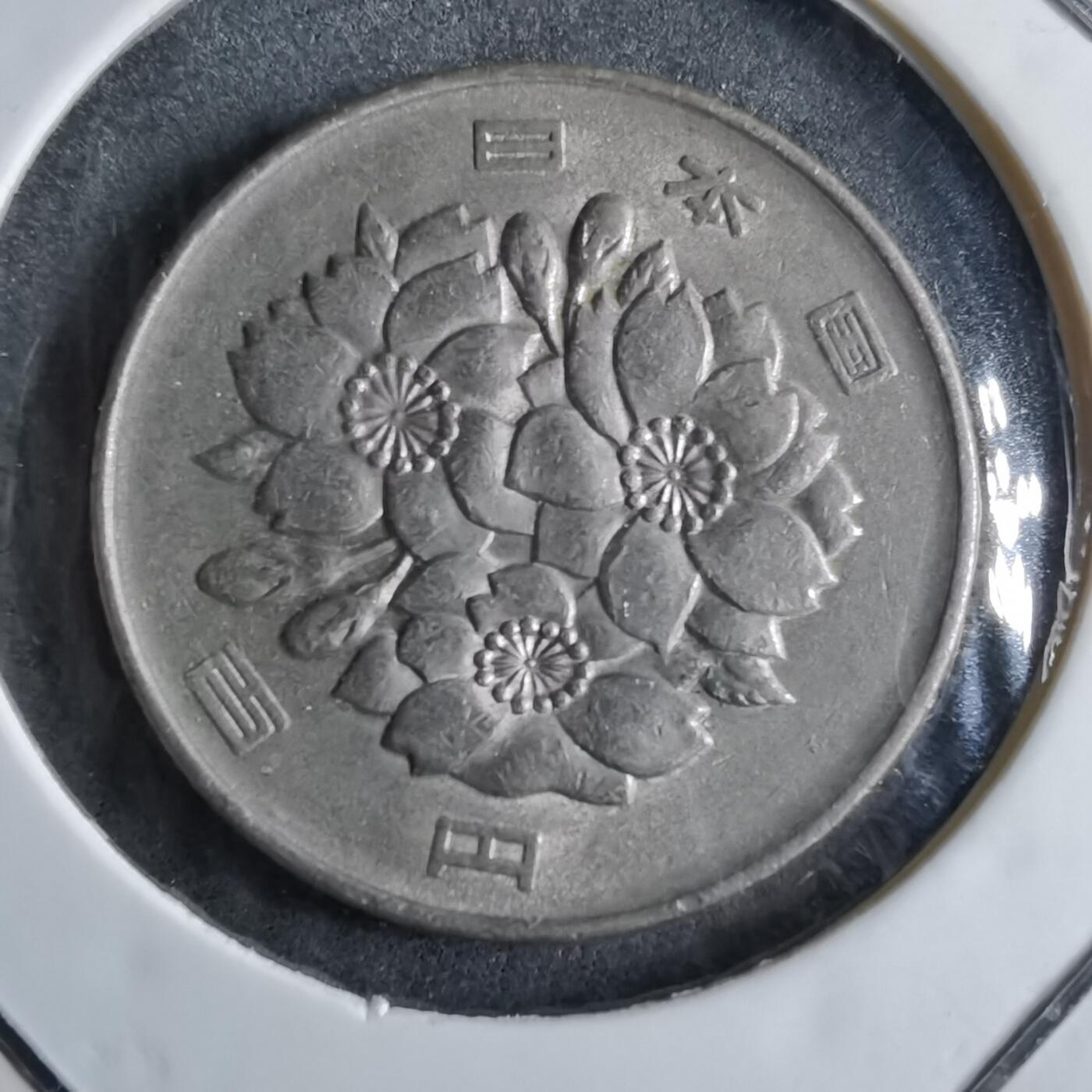 沼泽如烟--第891场