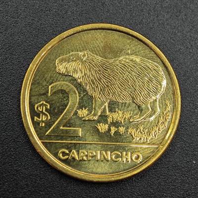 【淘币小摊】实时拍第七百八十八拍   散币小银币场   满百包邮可预留二周 每周一统一发货   - 乌拉圭2019年2比索卡皮巴拉