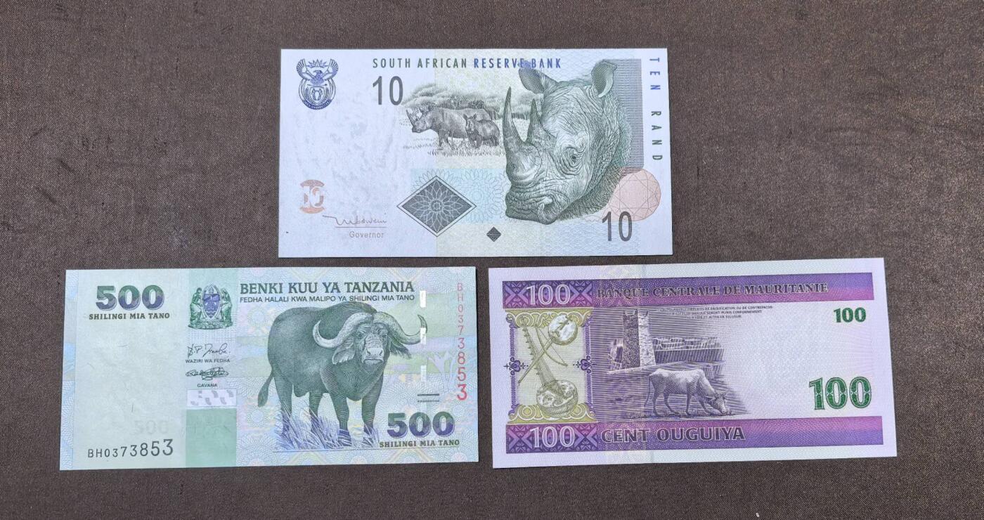 北京马甸外国币专卖第146期，外国纸币币专场，陆续上拍，欢迎关注 南非，坦桑尼亚，毛里塔尼亚纸币全新3张