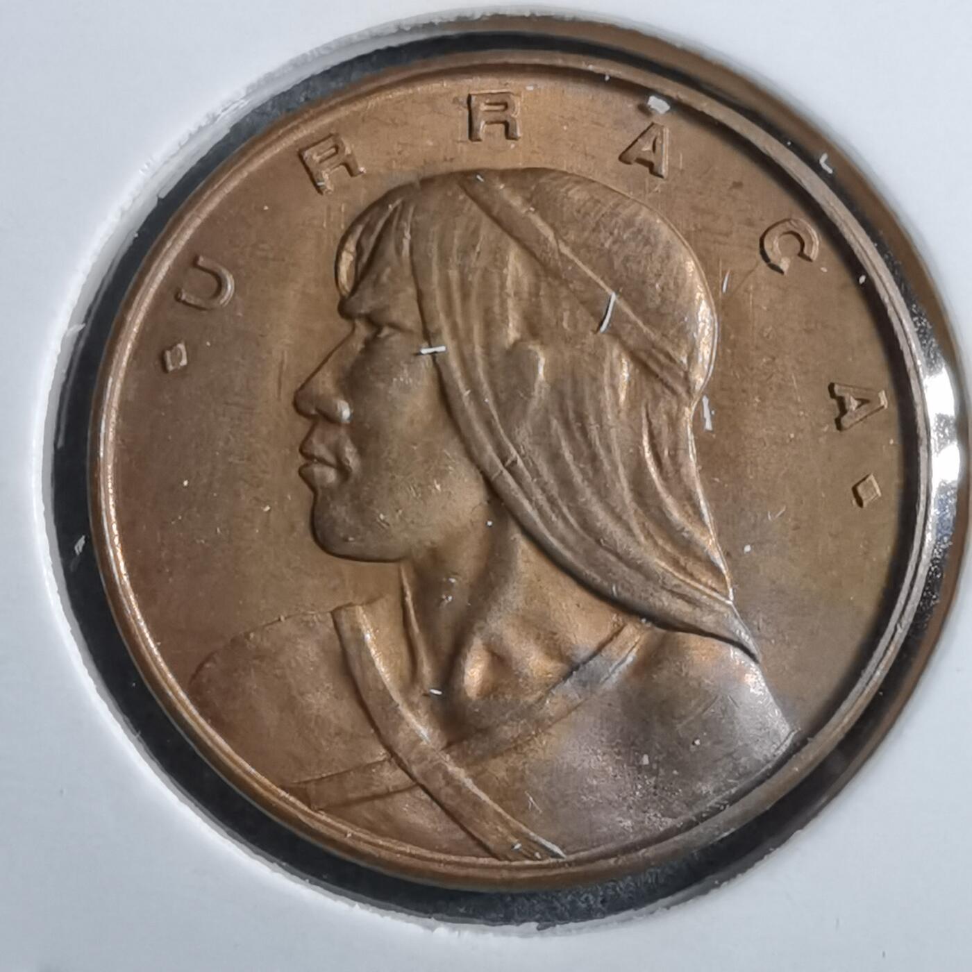 沼泽如烟--第892场