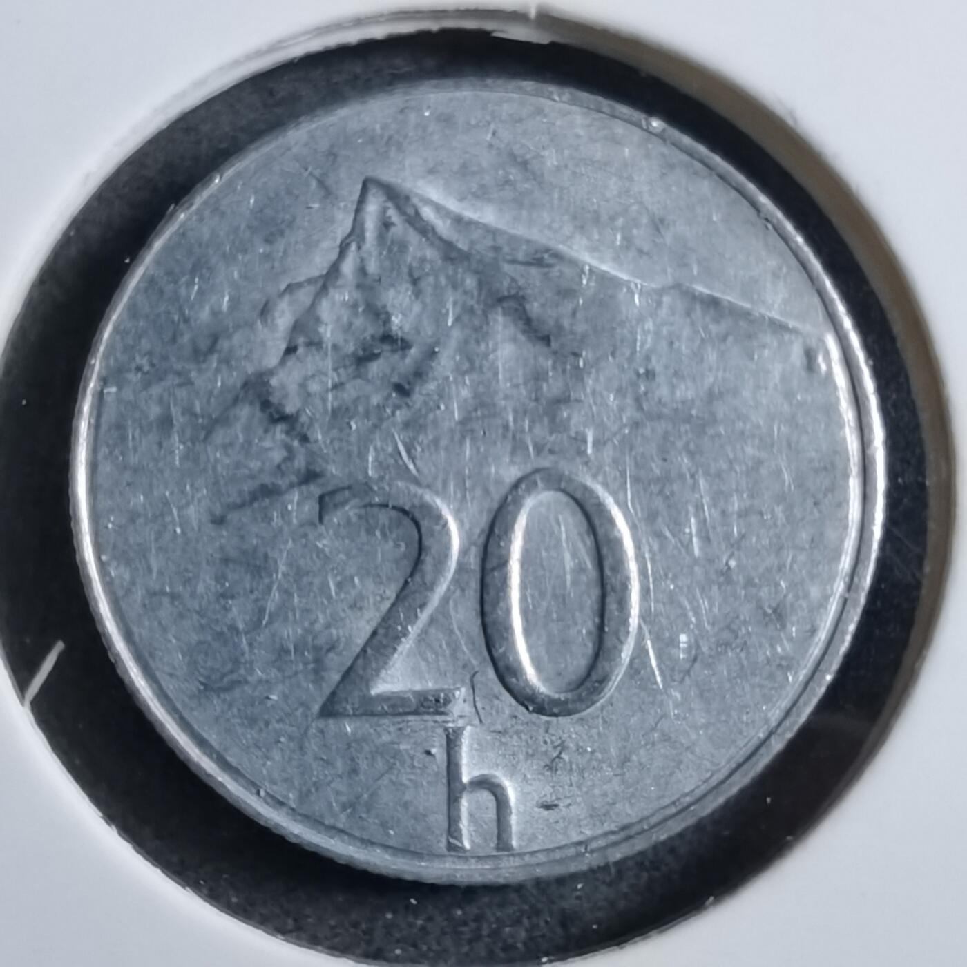 沼泽如烟--第892场