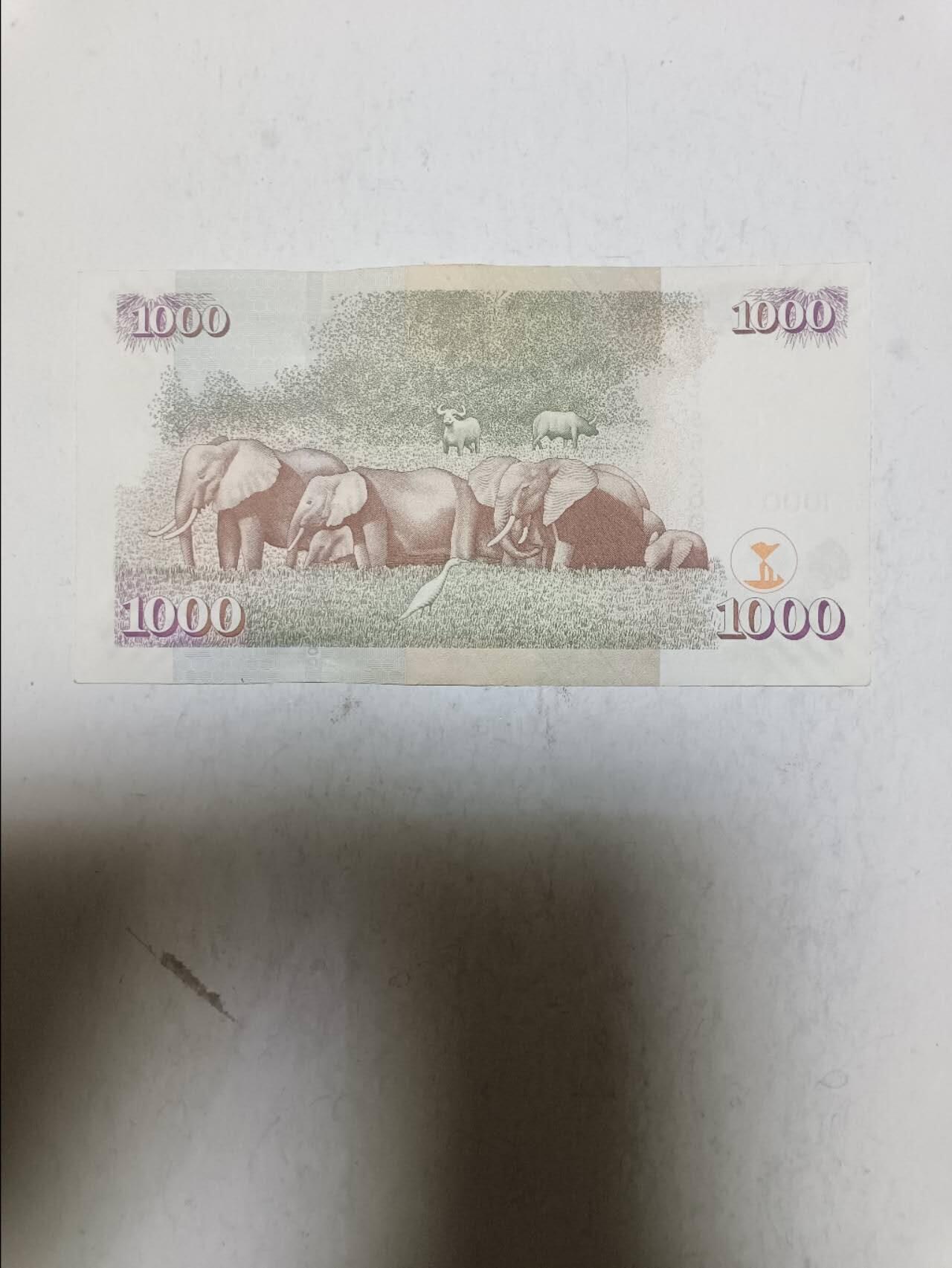 【20251106】非全新纸币第301场