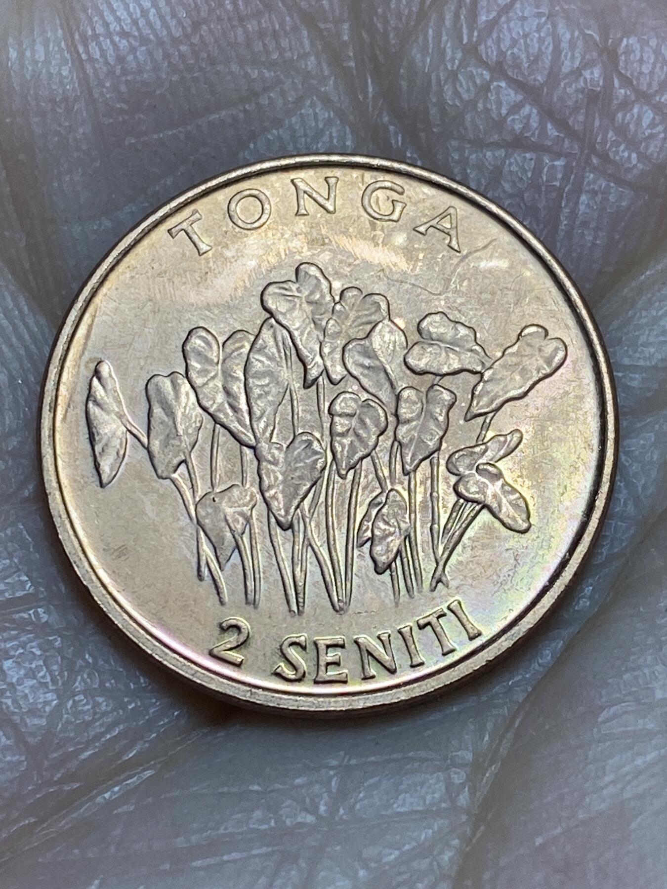 2025年第一百二十三场(总第一百四十九场）外国好品散币(免佣金) 好品–汤加🇹🇴2002年2仙