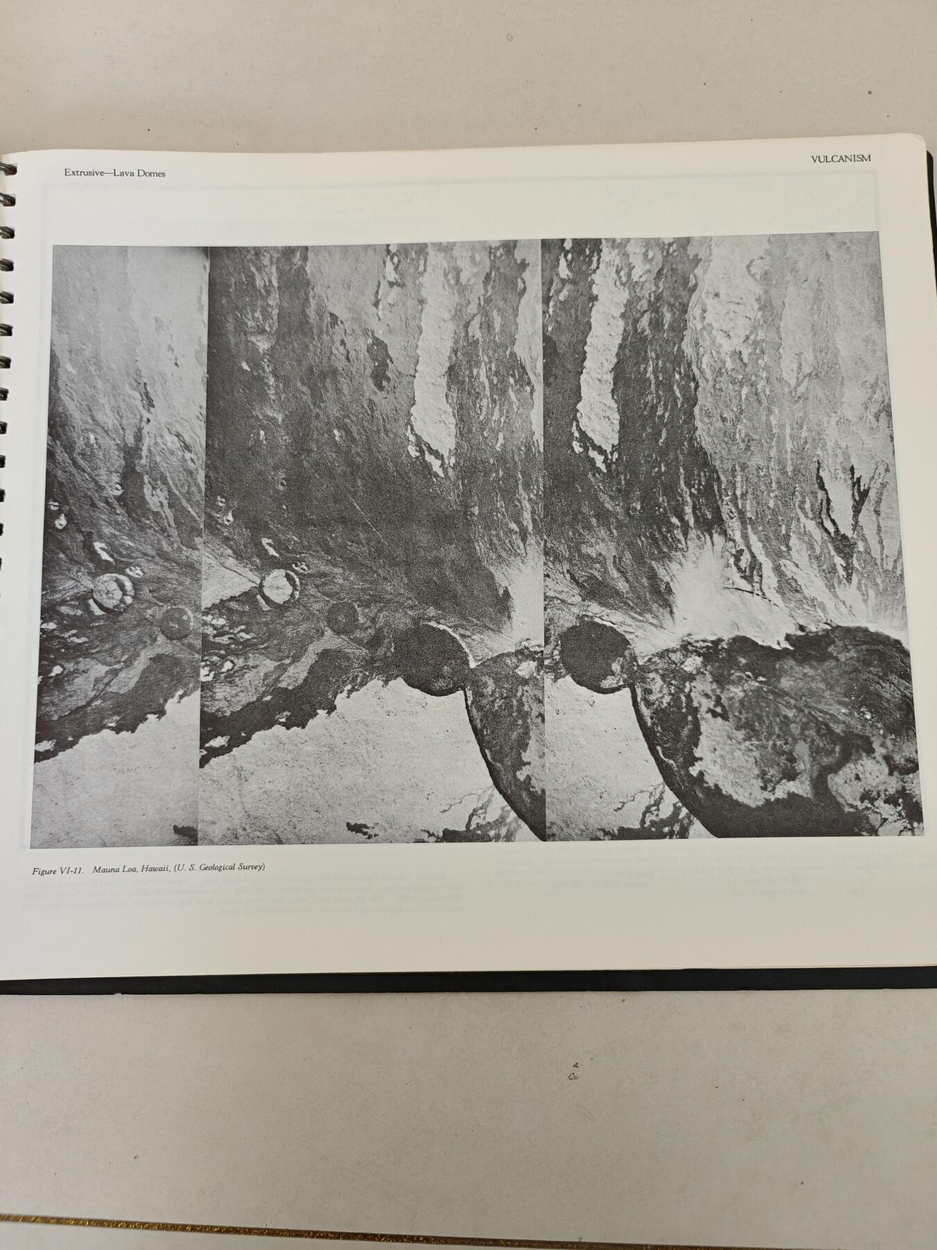 老王徽章第161期