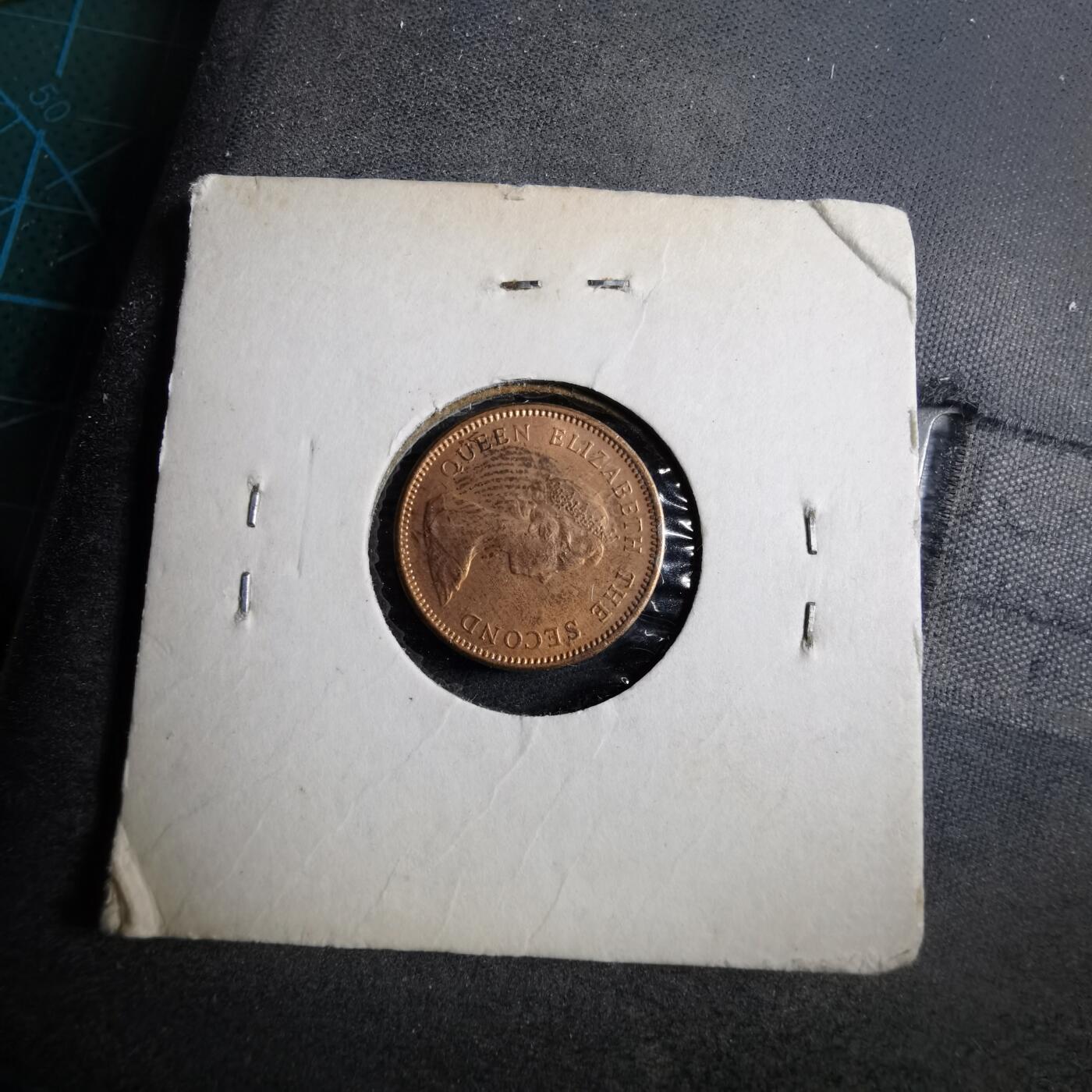 沼泽如烟--第892场