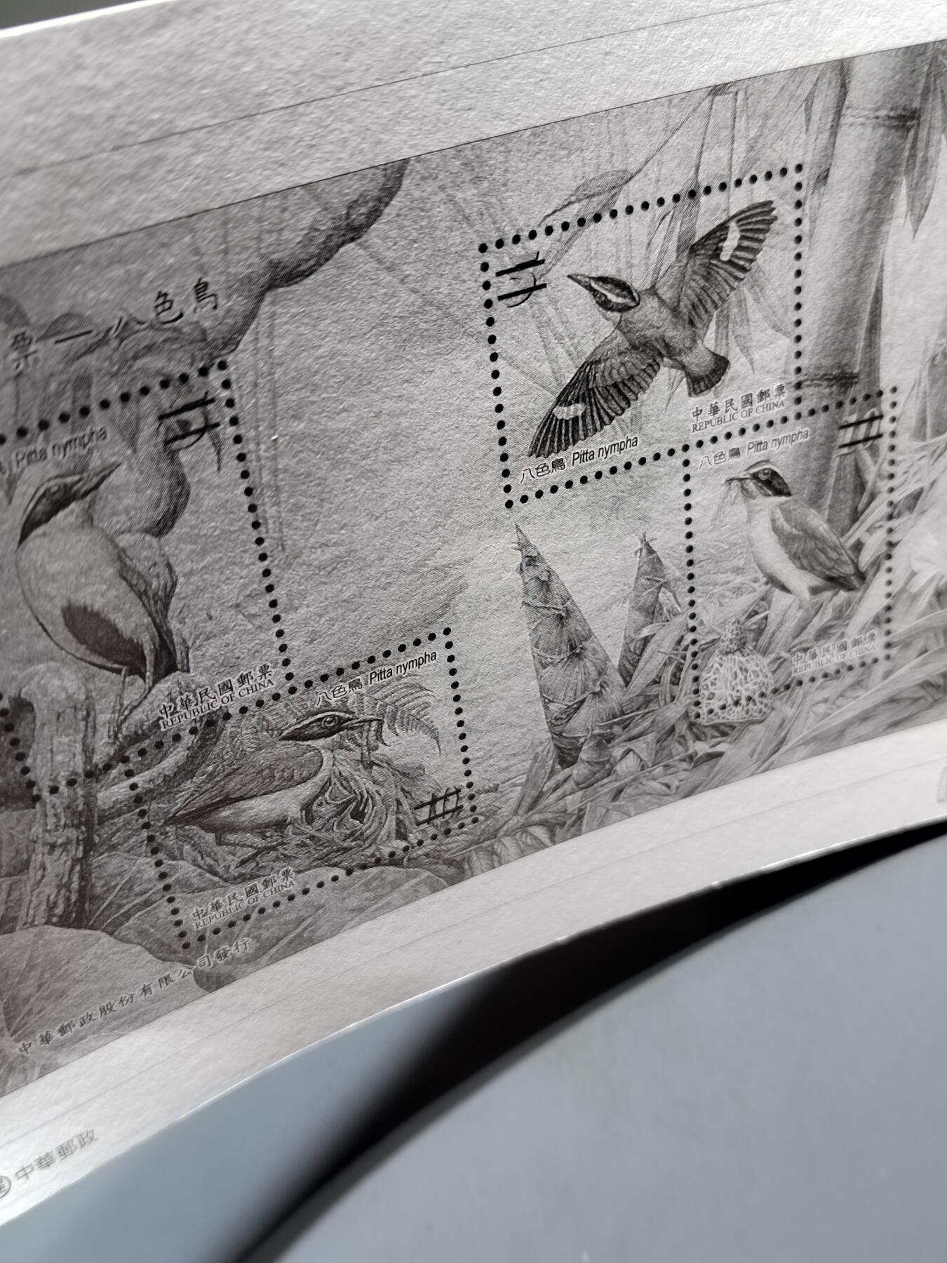 PCAI钱币6-583 中国台湾省邮票小专场 鸟