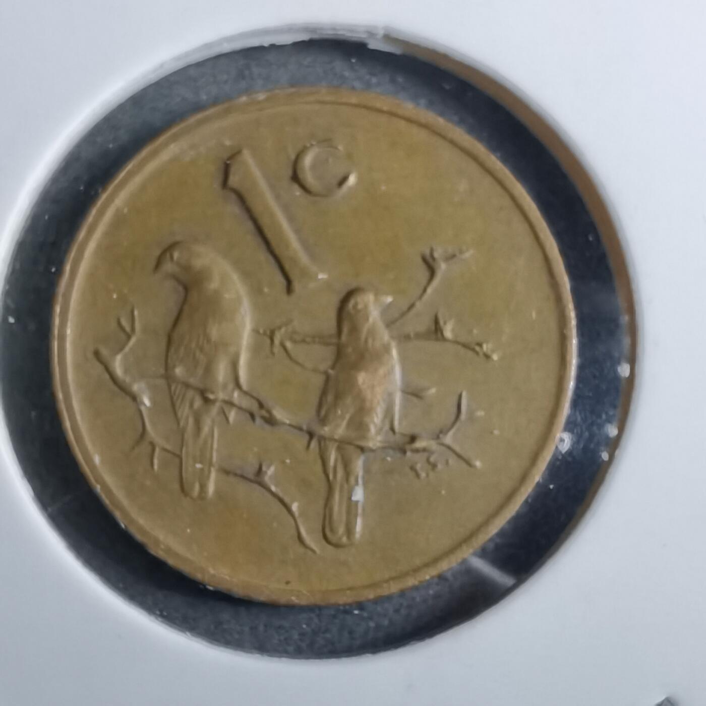 沼泽如烟--第892场