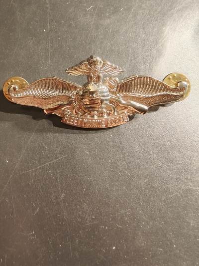 老王徽章第161期 - 美国海军陆战队作战证章      2.75英寸