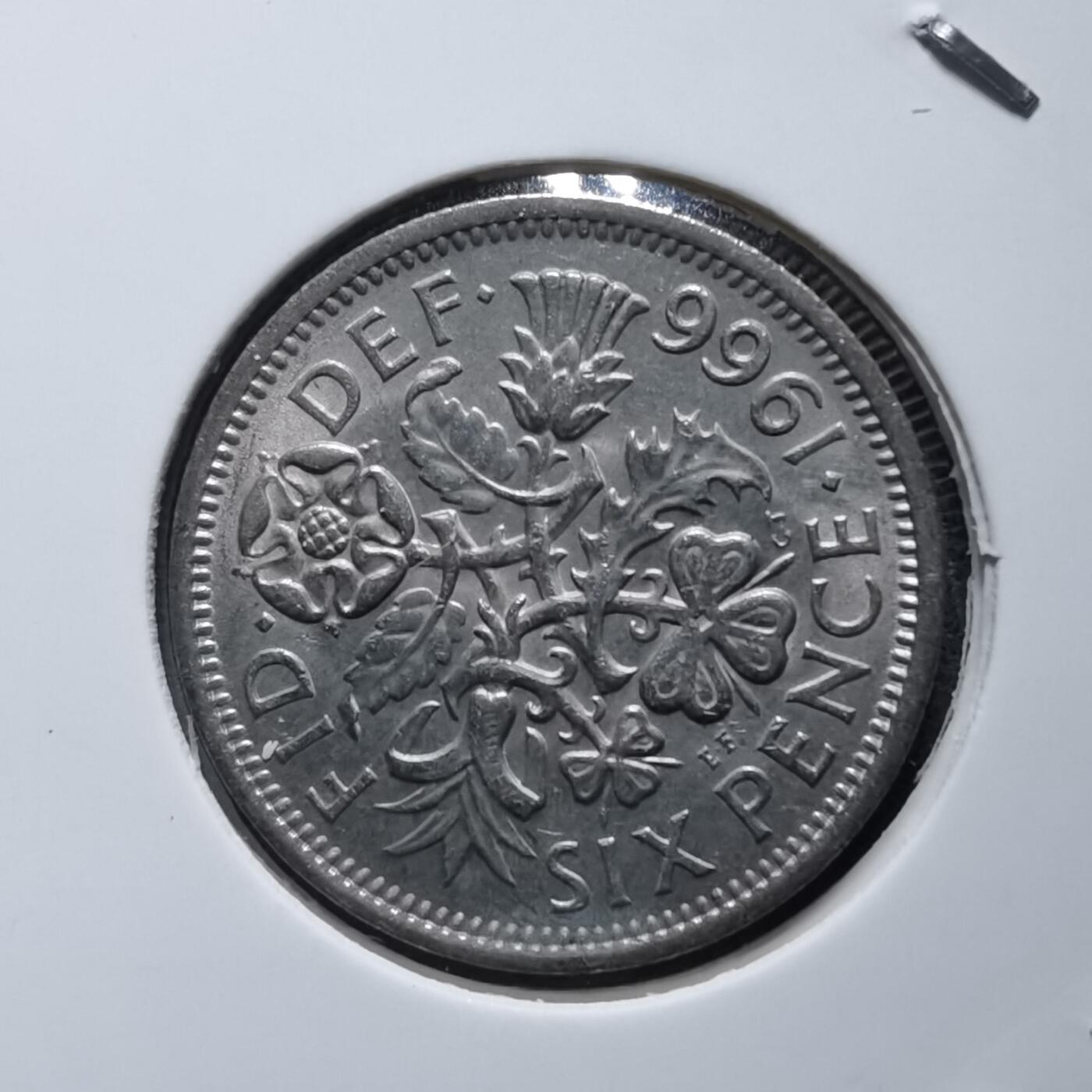 沼泽如烟--第892场