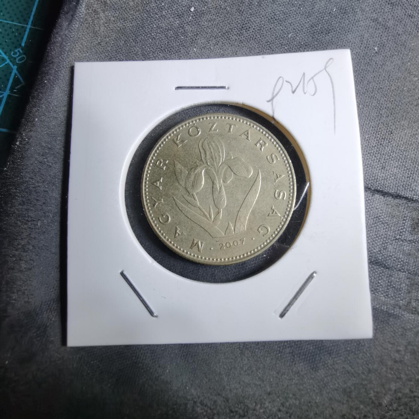 沼泽如烟--第892场