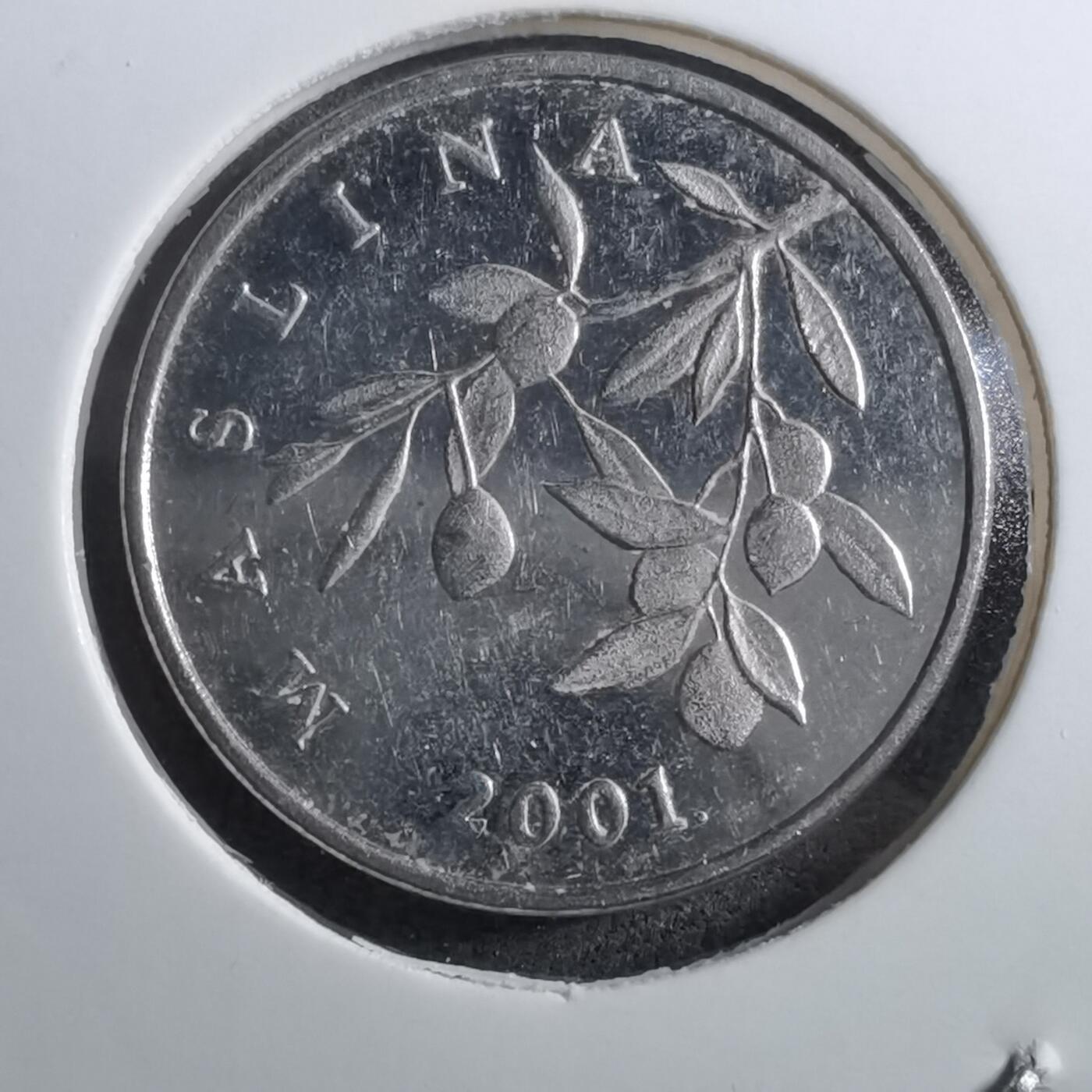 沼泽如烟--第892场