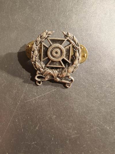 老王徽章第161期 - 美国陆军神射手资格章  