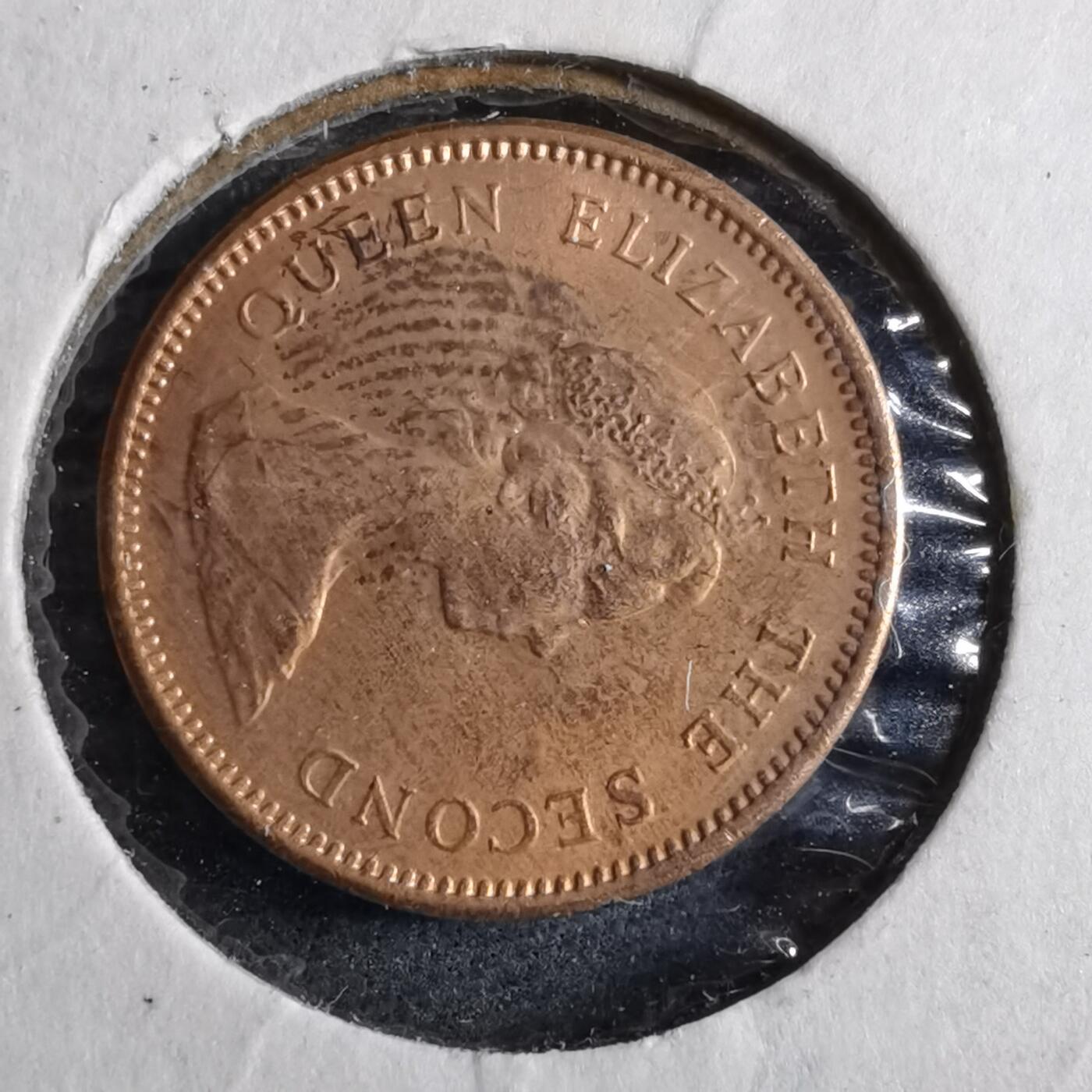 沼泽如烟--第892场