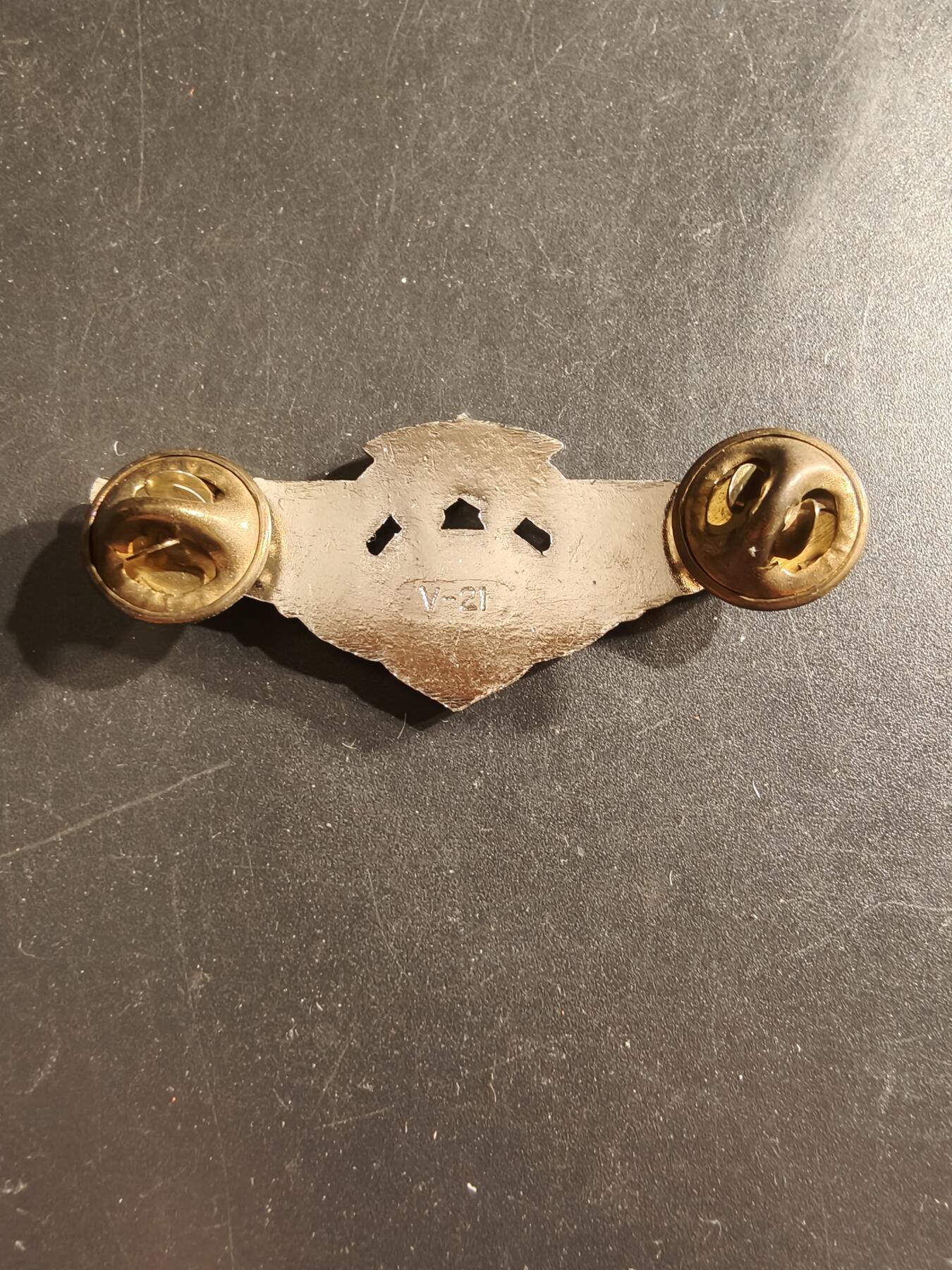 老王徽章第161期 美国空军军医高级技能章    2英寸