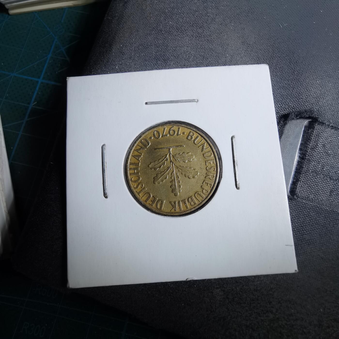 沼泽如烟--第892场