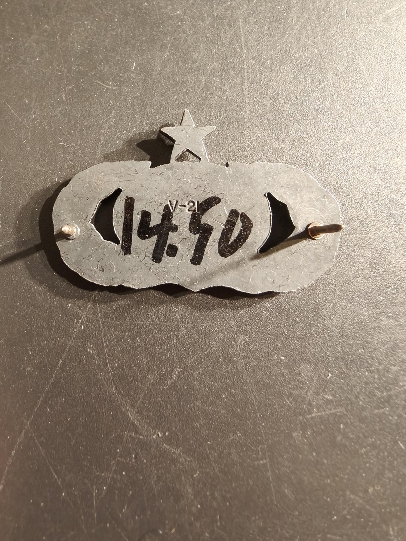 老王徽章第161期 美国空军中级信息管理技能章