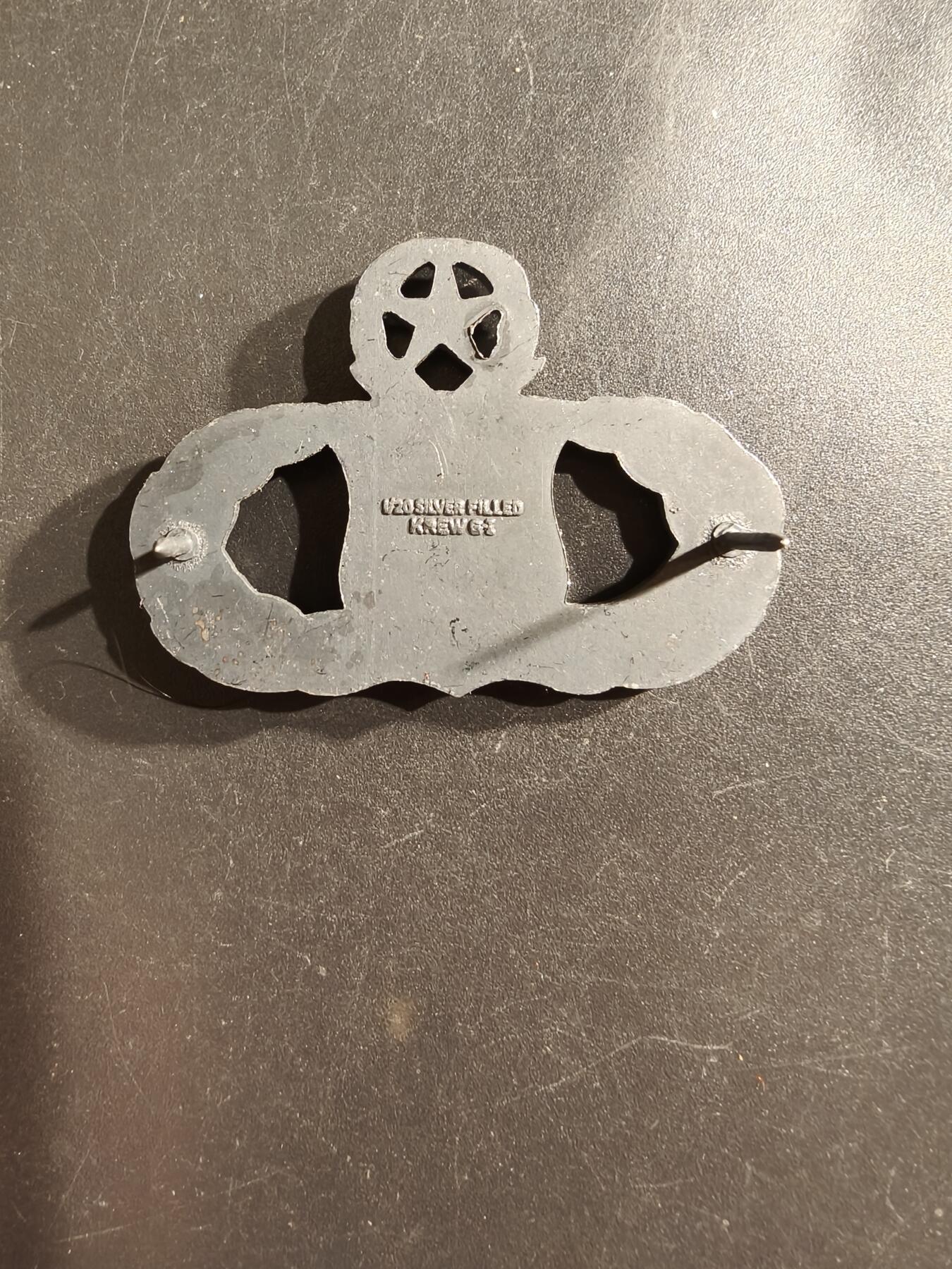 老王徽章第161期 美国空军高级武器管控员技能章     包银