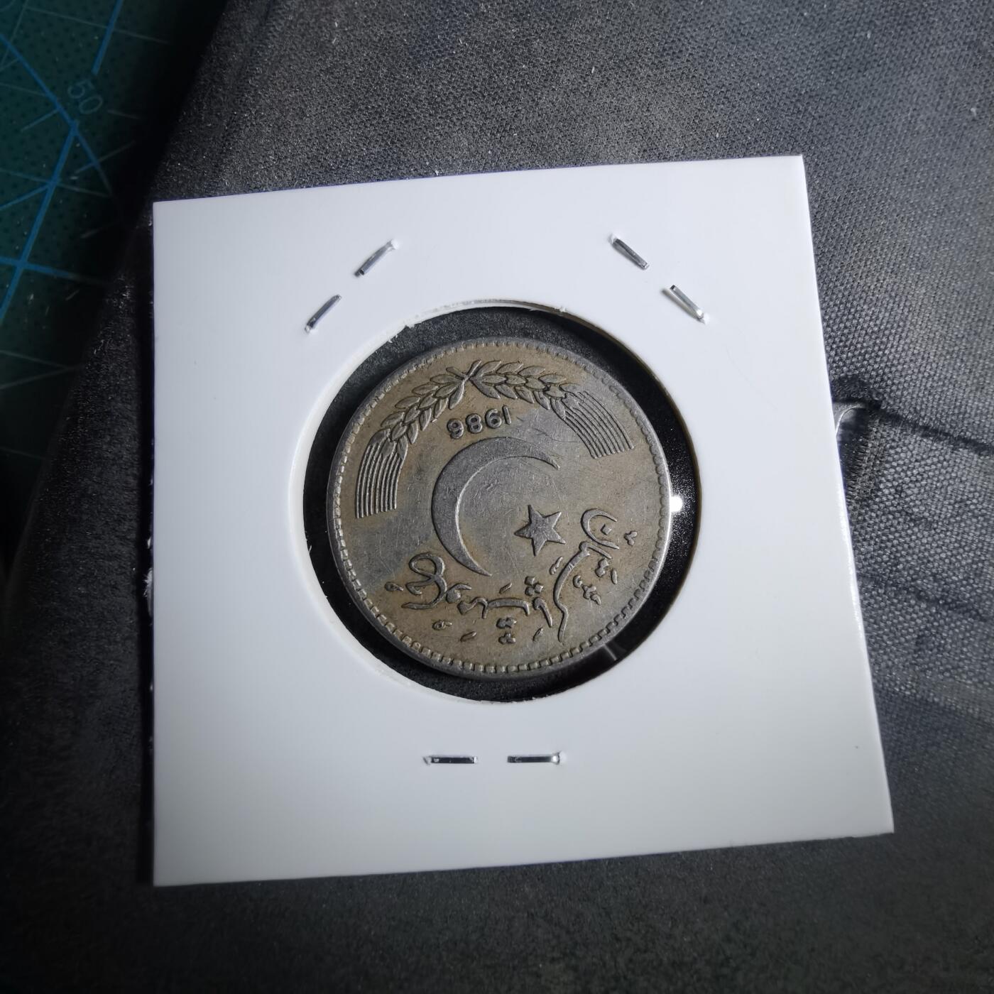 沼泽如烟--第892场