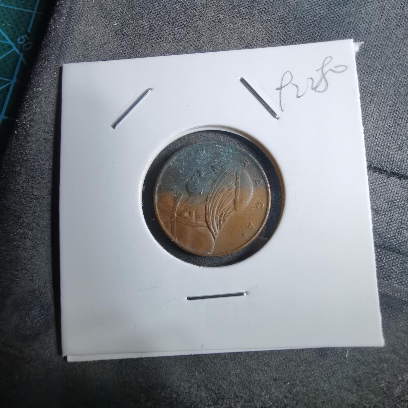 沼泽如烟--第892场