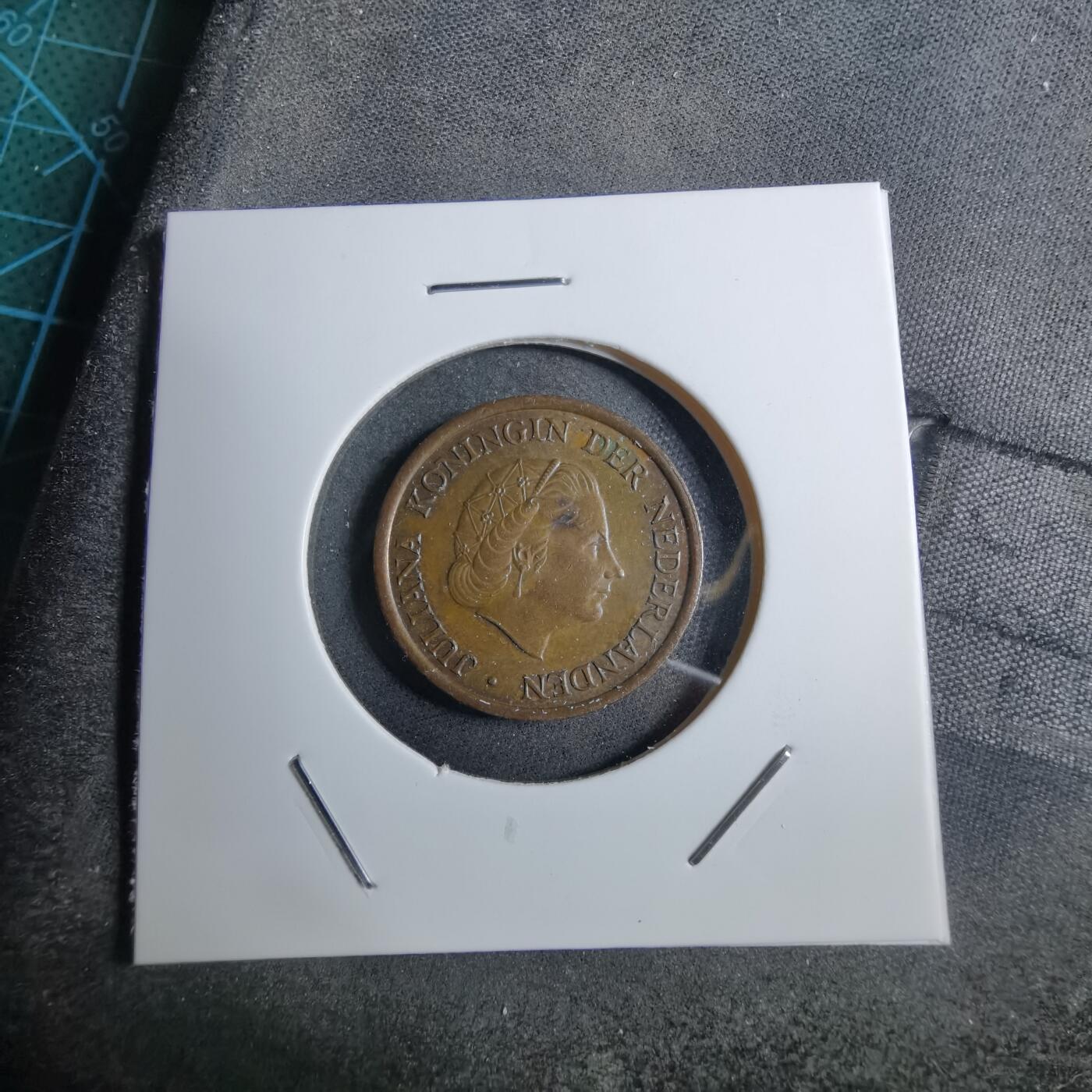 沼泽如烟--第892场