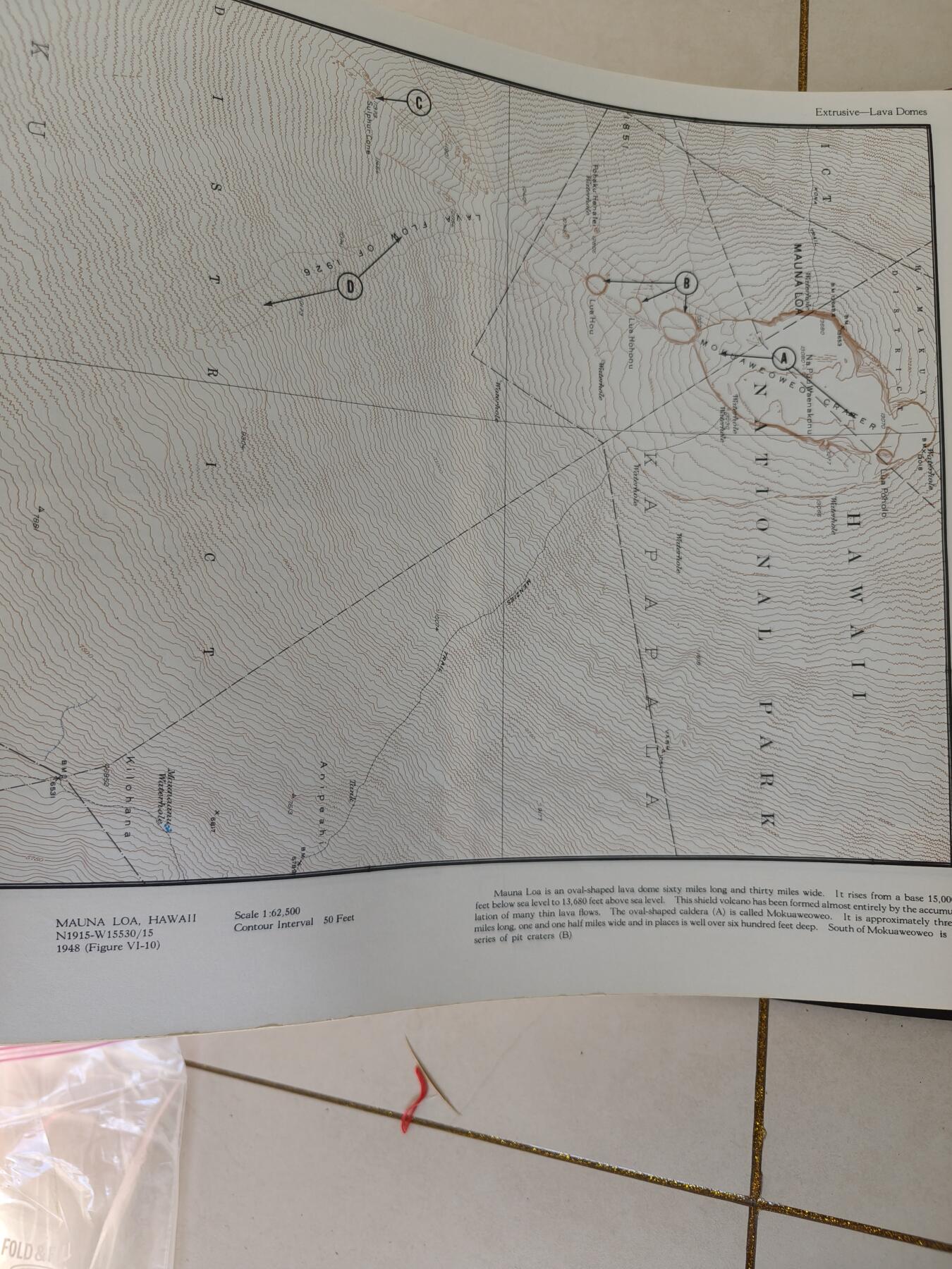 老王徽章第161期