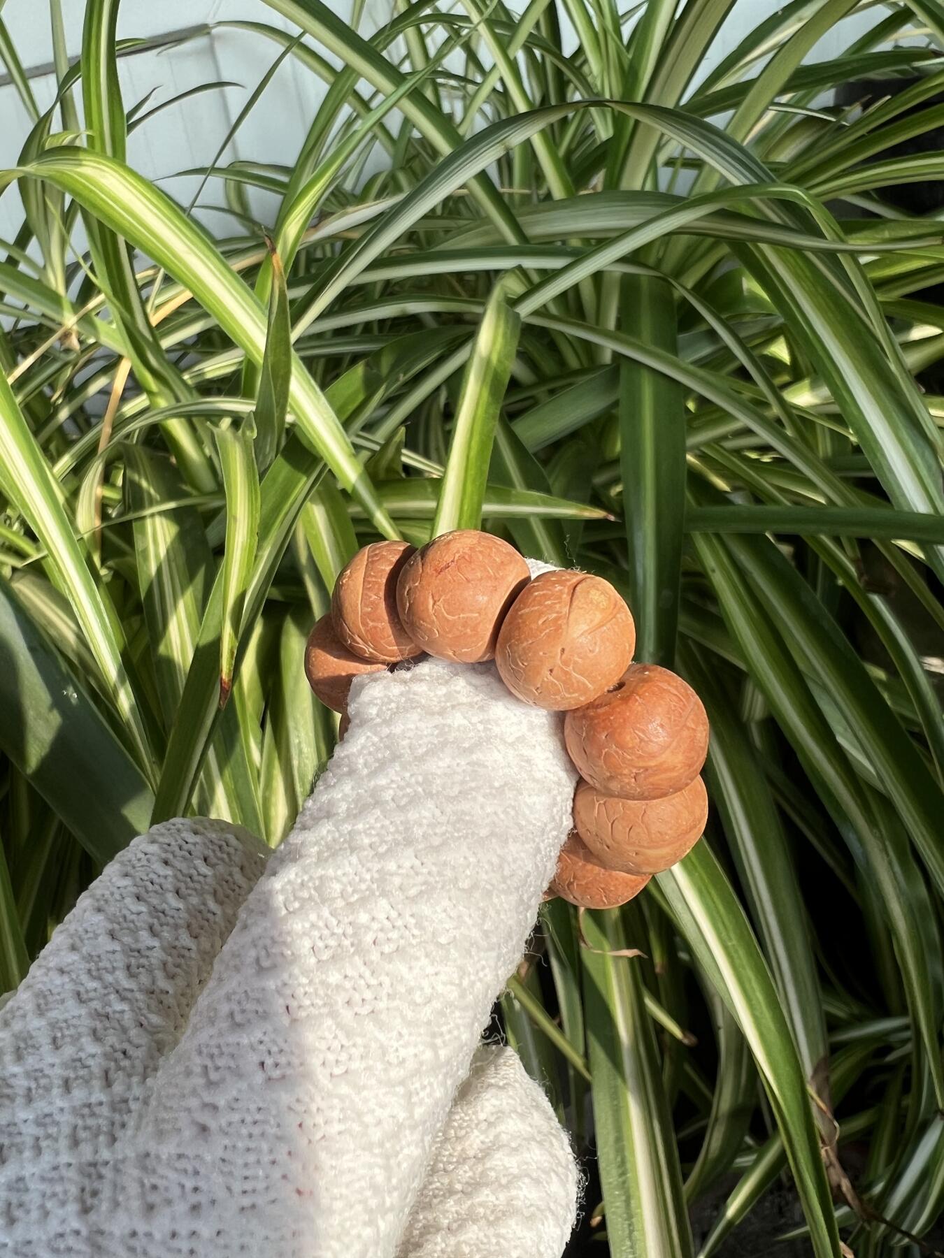 零元拍：凤眼菩提 厚切小手捻 12.5